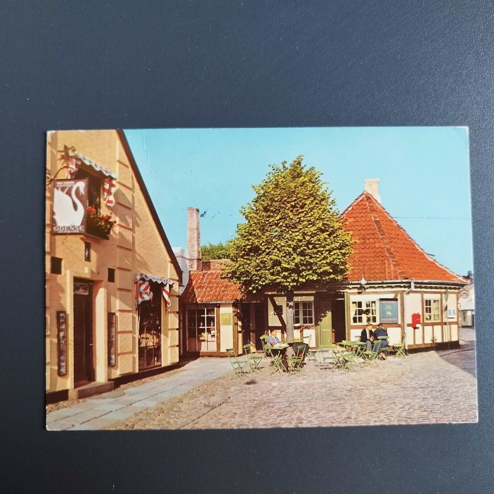 Denmark Odense The linden tree in Hans Jensensstræde Restaurant from 1777