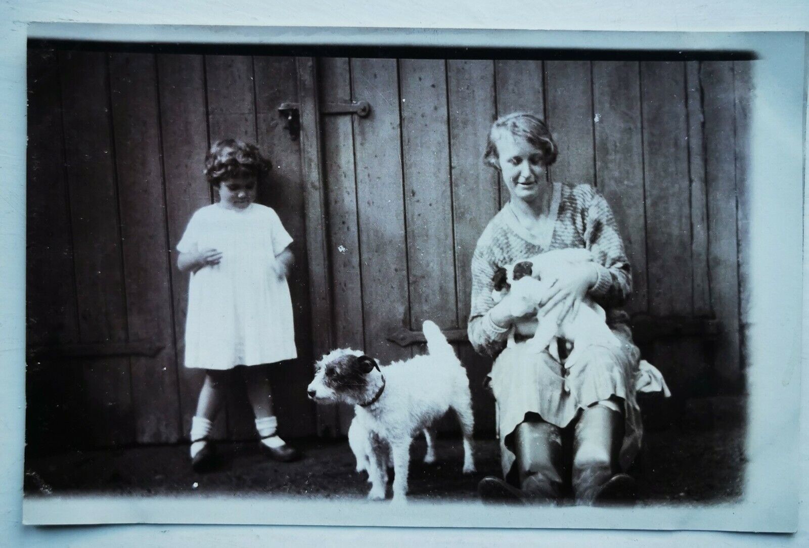 Photo postcard: Mum and daughter girl together with old dog and puppies pok1417