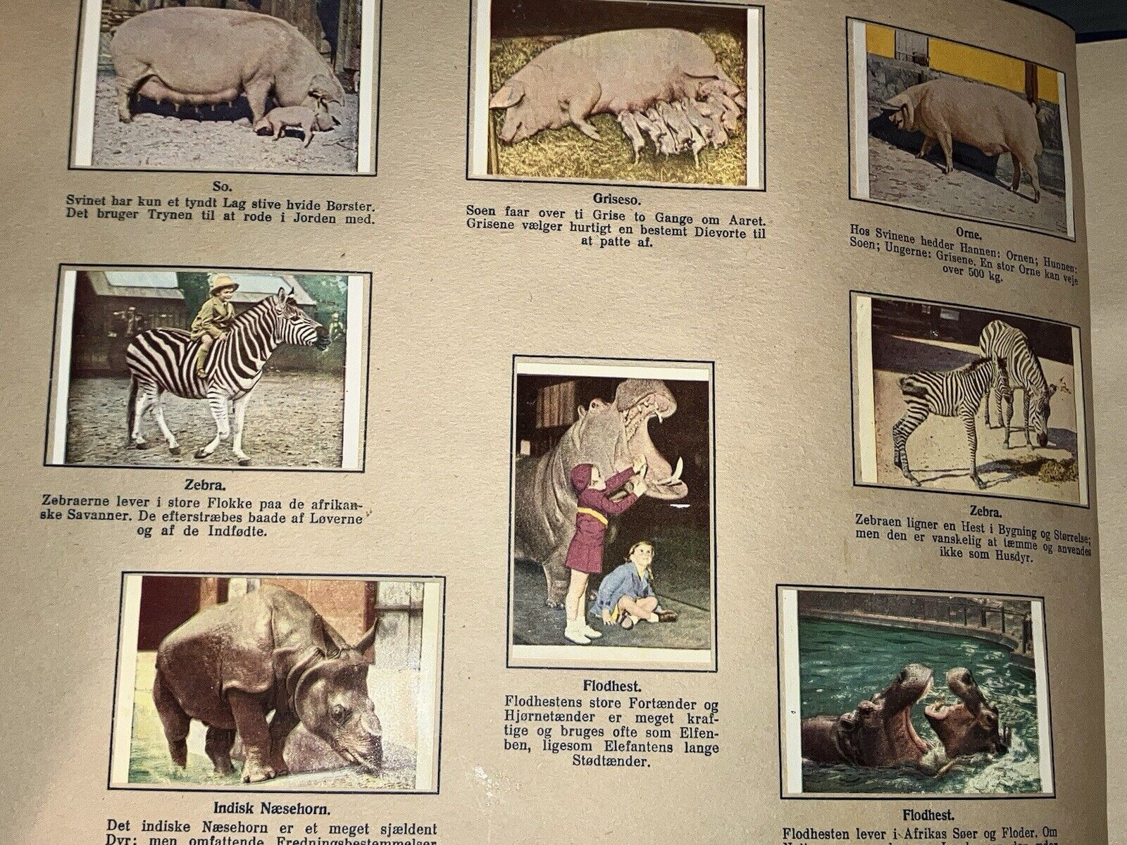 1947 DANMARKS SERIE - DYR FRA ALLE LANDE RARE DANISH COMPLETE ANIMAL ALBUM