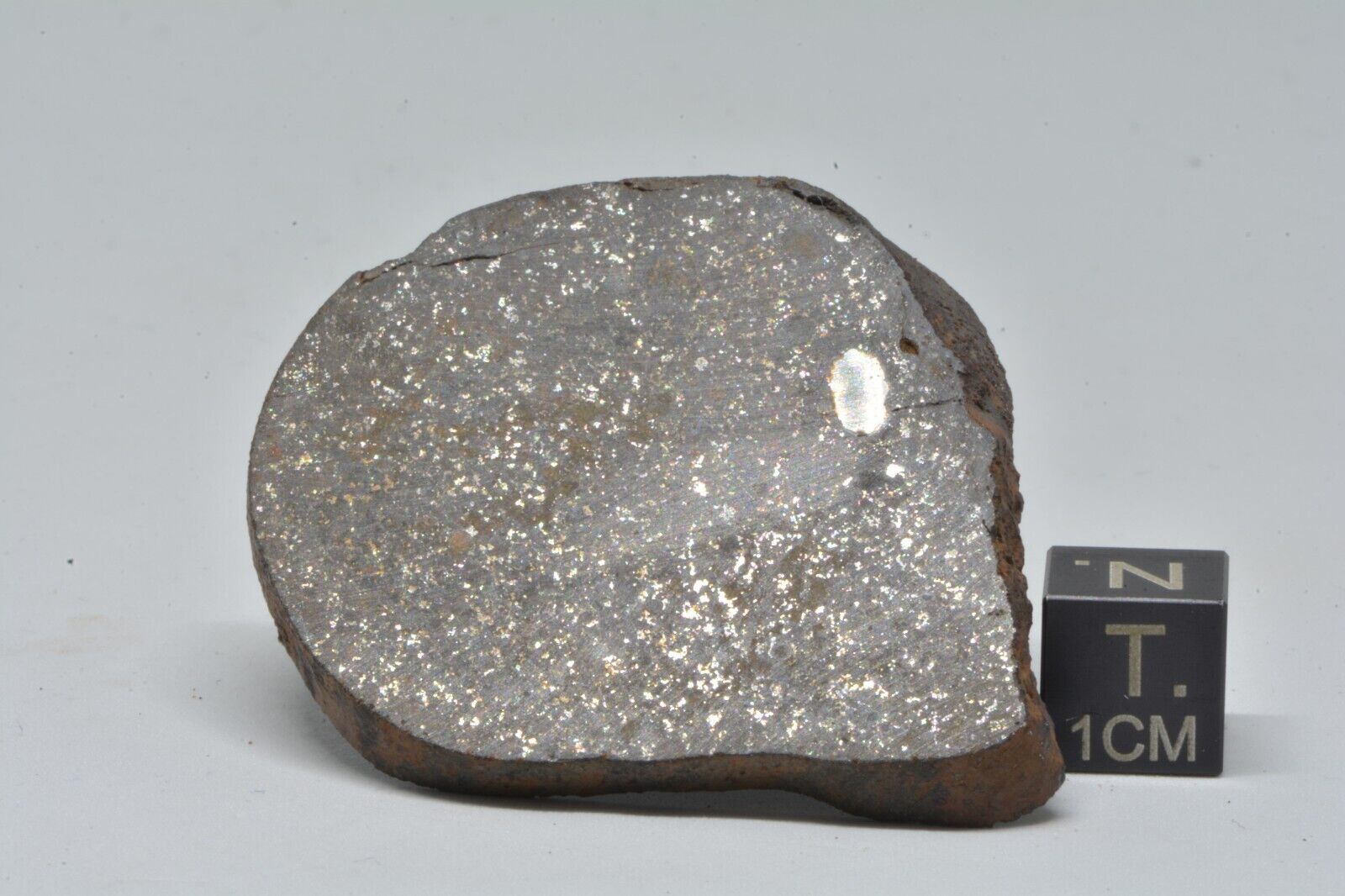 Meteorite Pultusk , Chondrite H5 , Fell in Poland 1868 weight 22.45 g slice