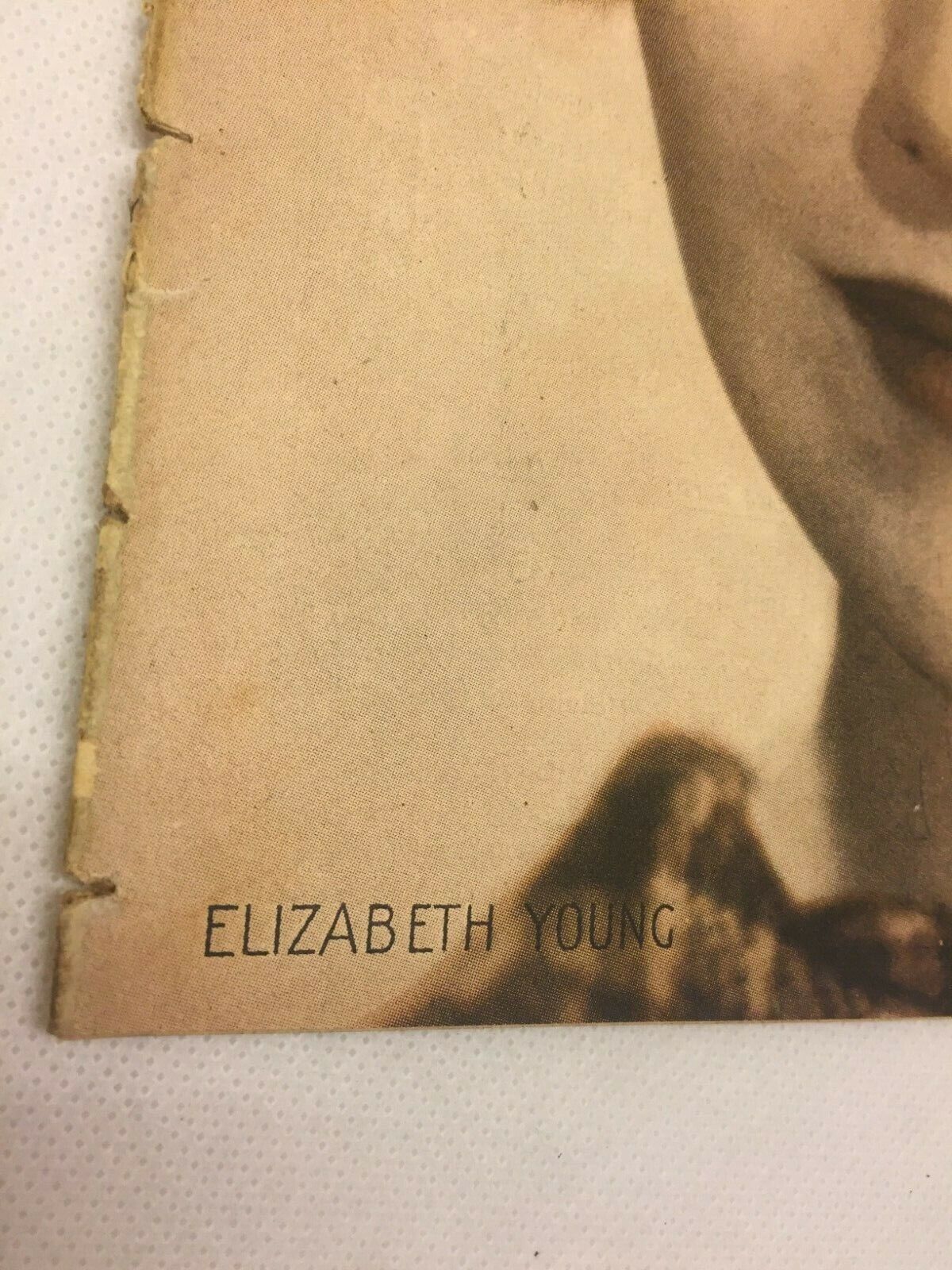 Elizabeth Young Complete Antique Vintage Danish Magazine 1934 Københavnerinden