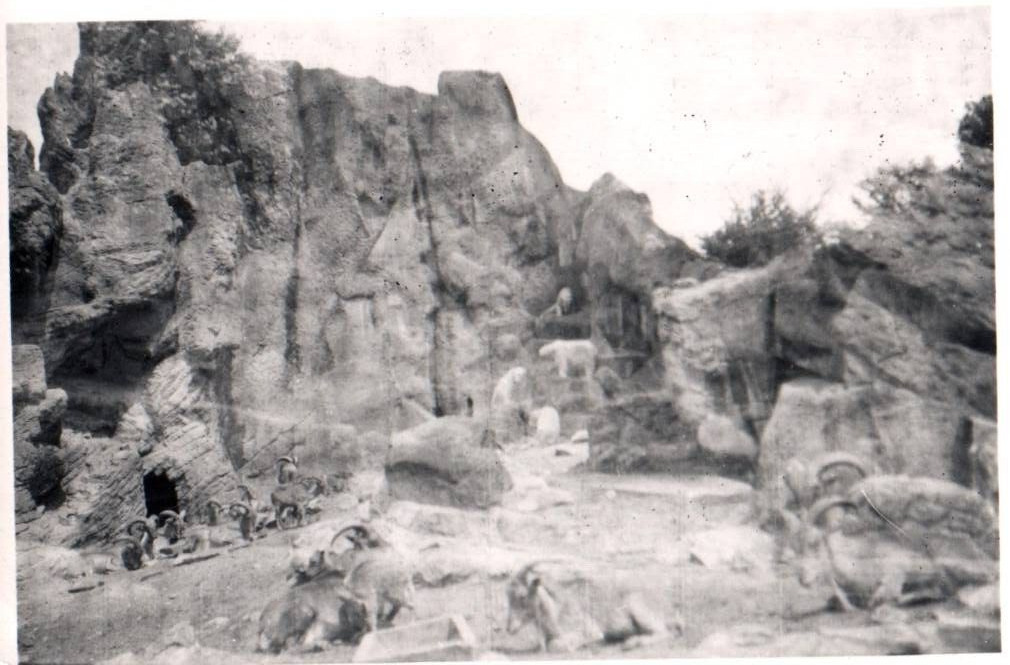 Rocks Scene Life in Denmark 1900 - 1950s Rare Vintage Photo Small Size 9x6cm