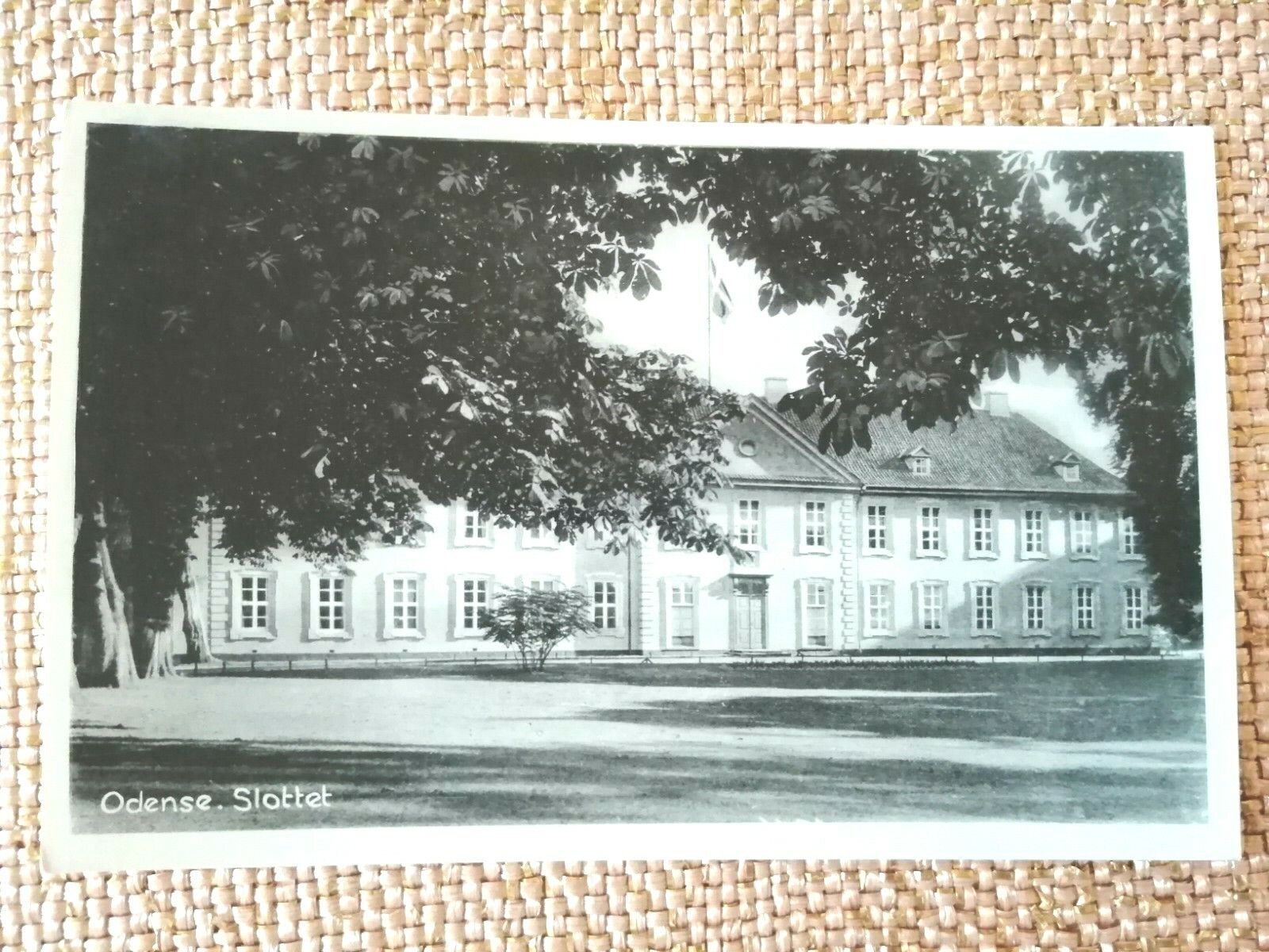 Vintage Danish postcardOdense The Palace1950s