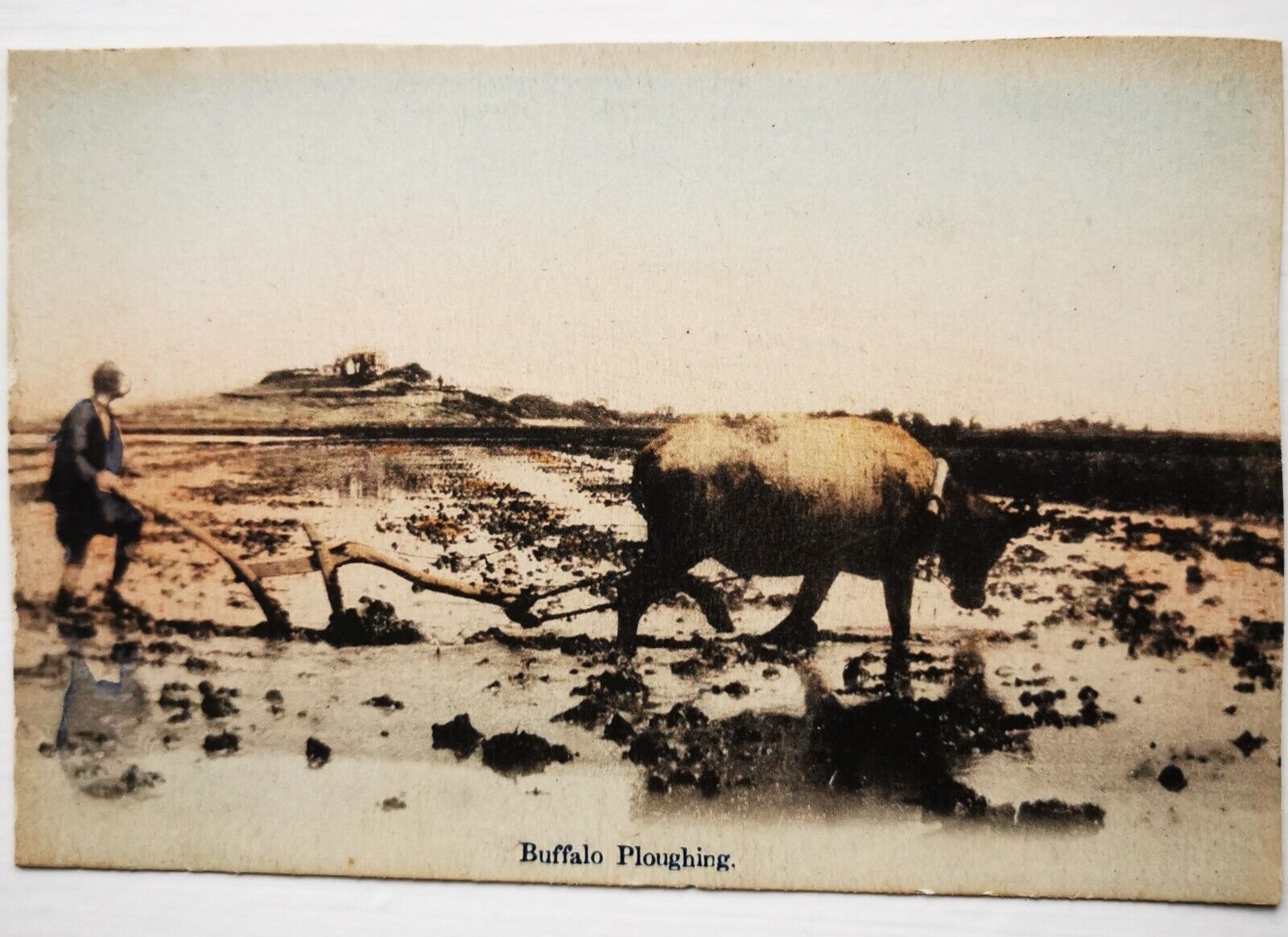 Vintage un-used postcard: Farmer motif - Buffalo Ploughing in Shanghai  pok063