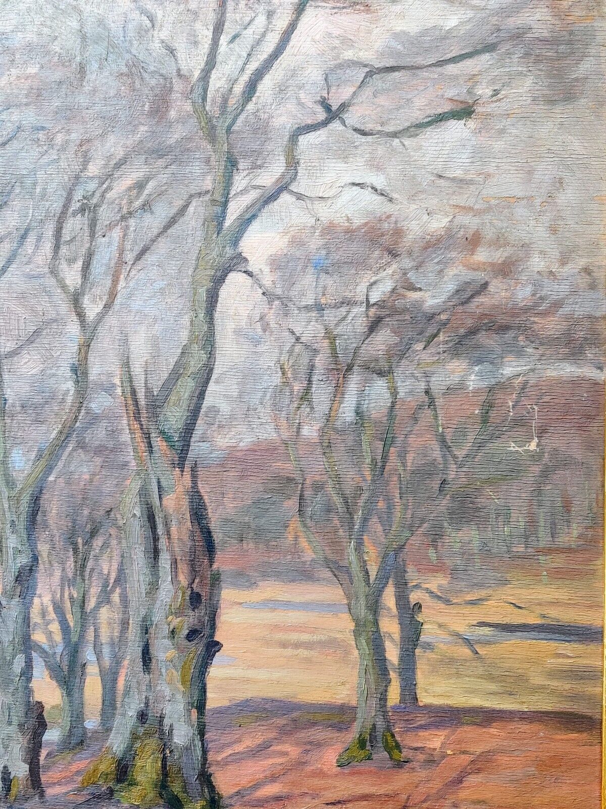 Harald Erhard-Hansen  (1875-1950): FOREST SCENE, original oil painting.