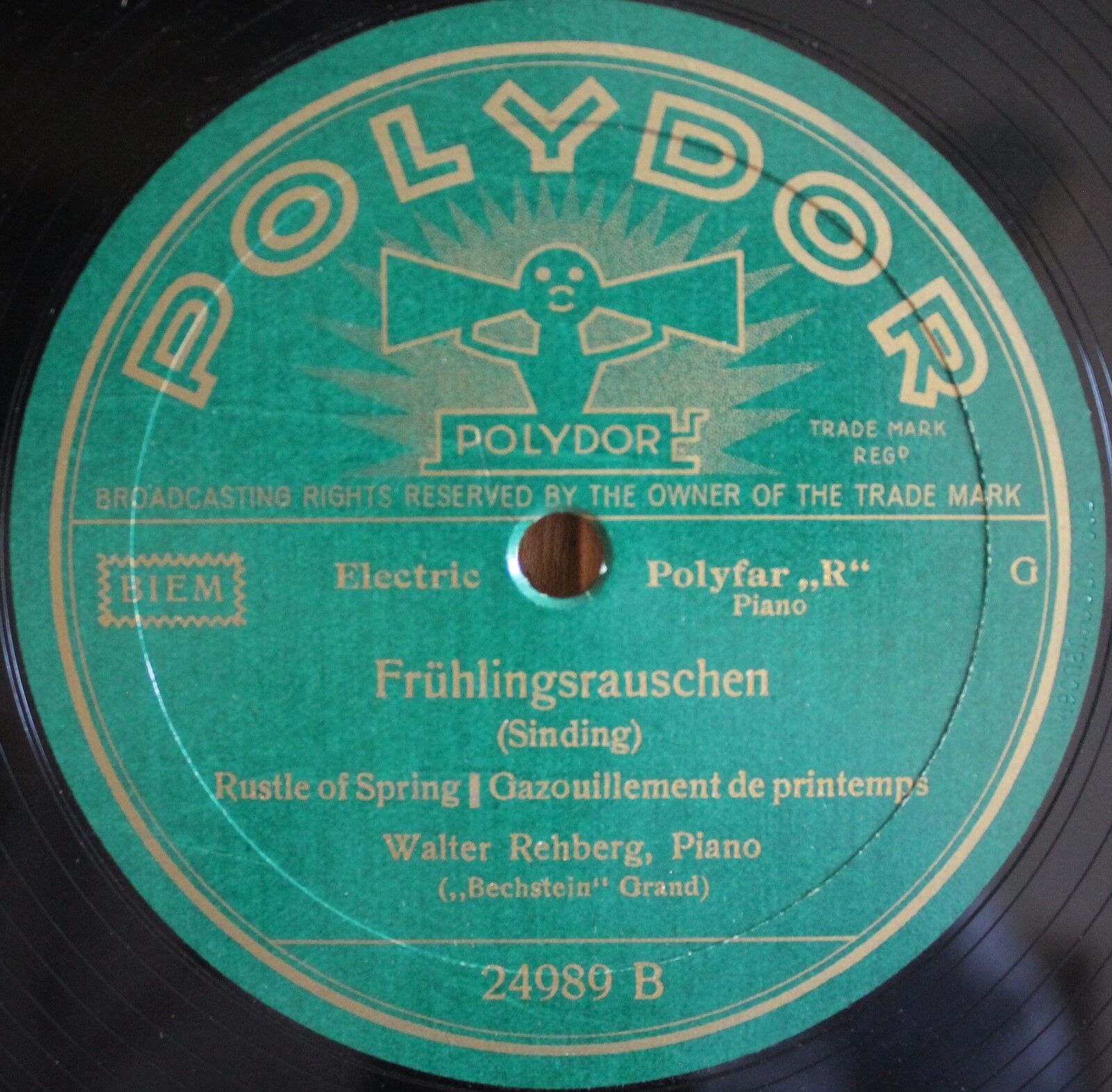 Rehberg Grieg (Troldhaugen)+Sinding (Frühlingstrauschen) Pol 24989 NM