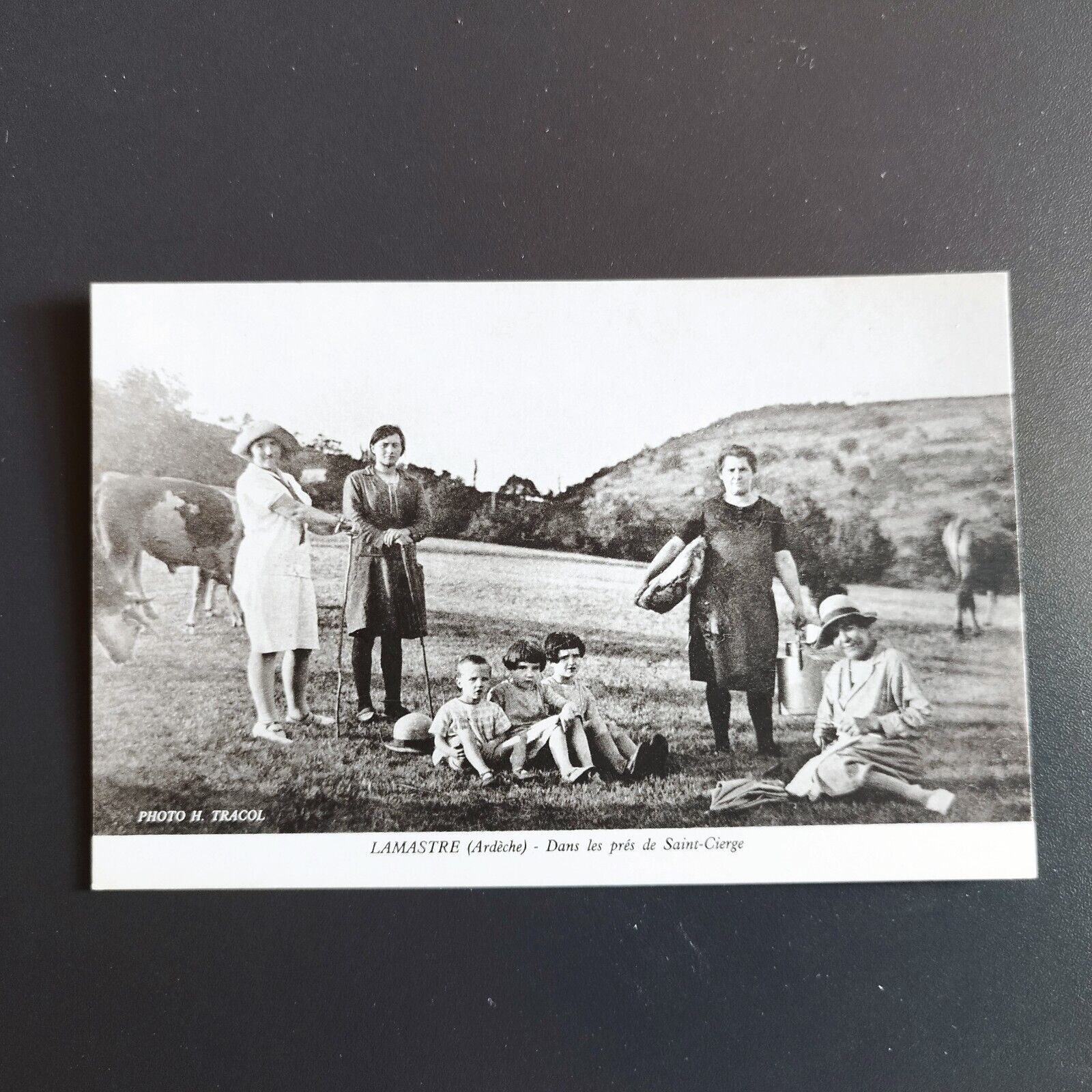 France -LAMASTRE (Ardèche)-Dans les prés de Saint-Cierge