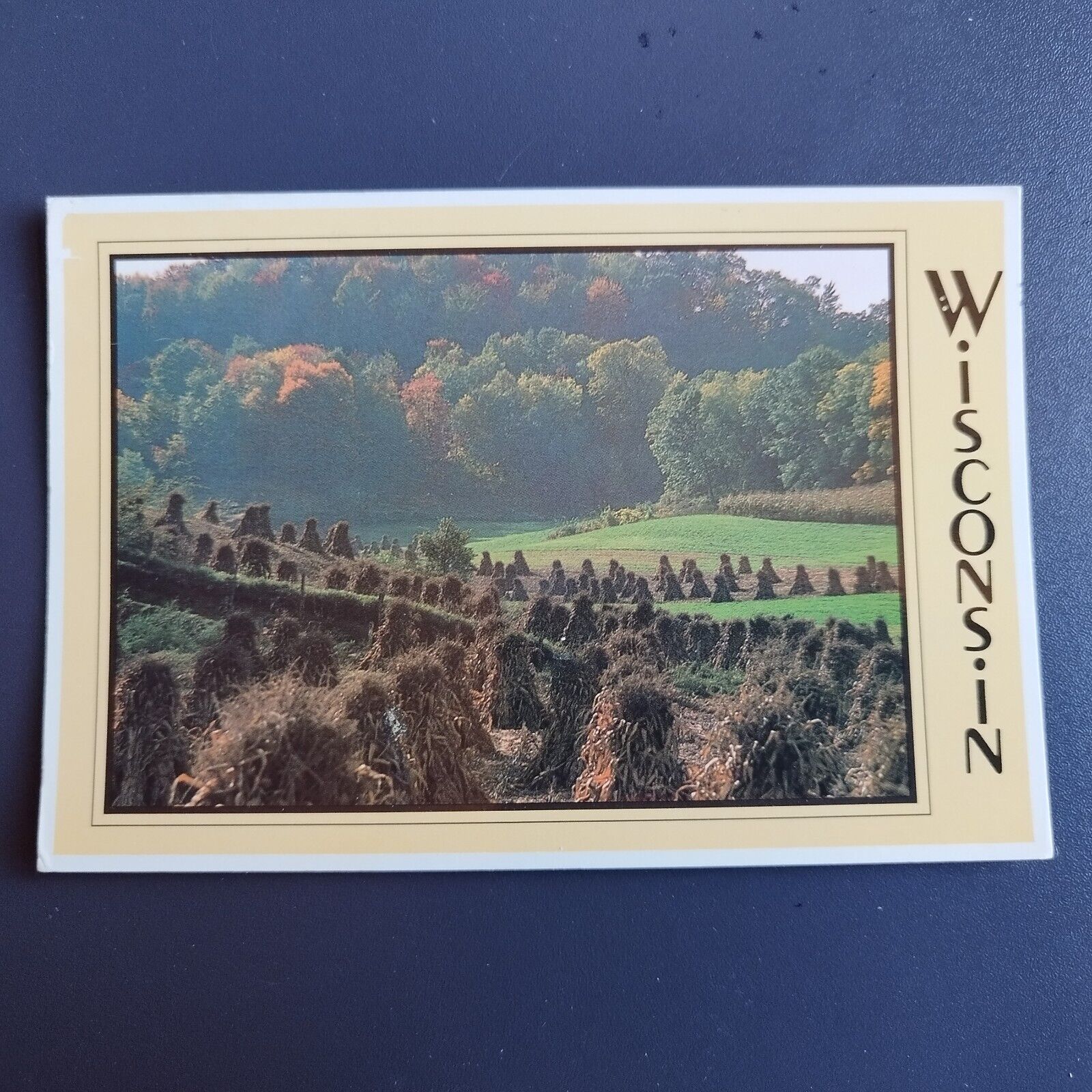 Wisconsin An Autumn harvest awaits collection - 1992