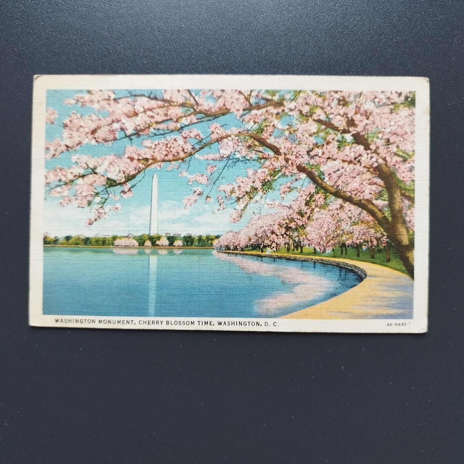 Washington DC Washington MonumentCherry Blossom Time Posted 1935