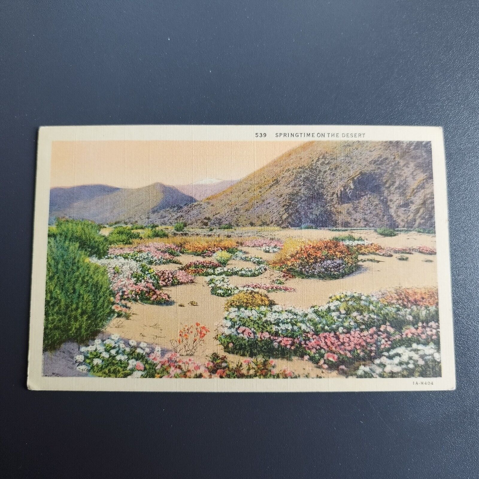 California Springtime On The Desert-1AH404