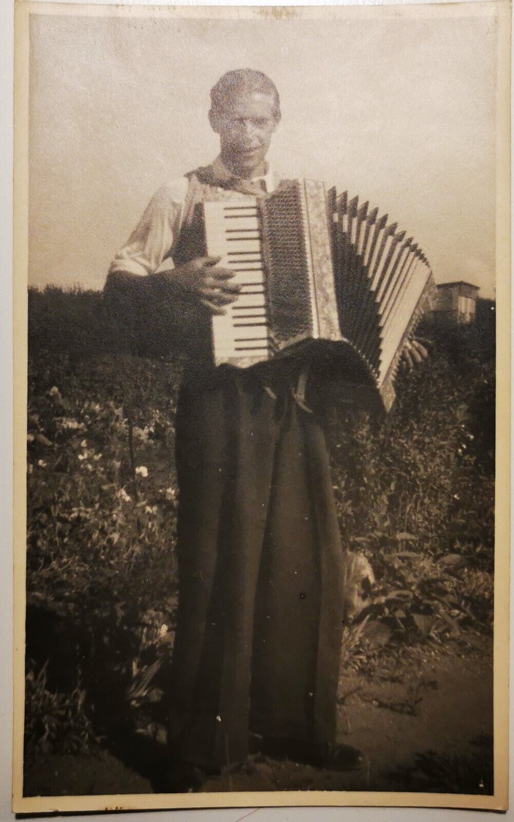 Old photo postcard: Portrait of young handsome man with his accordion pok770