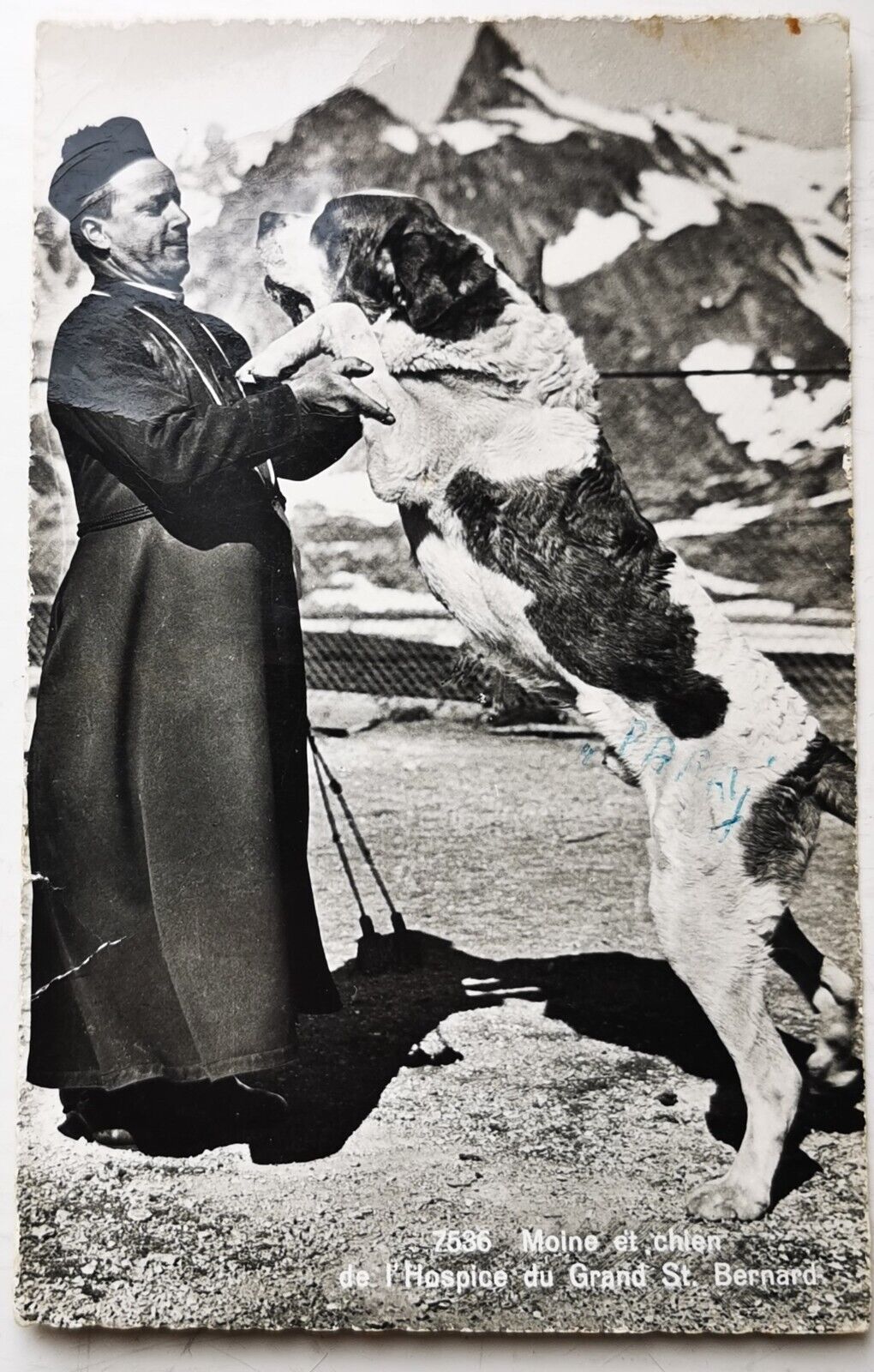 Photo postcard: Motif with big St Bernard dog Mailed to Denmark 1960 pok1508