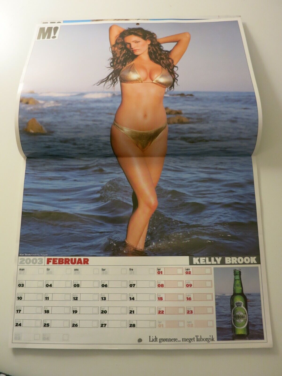 Calendar 03 VICTORIA SILVSTEDT Kelly Brook CAPRICE Sofia Vergara ALI LANDRY AB12