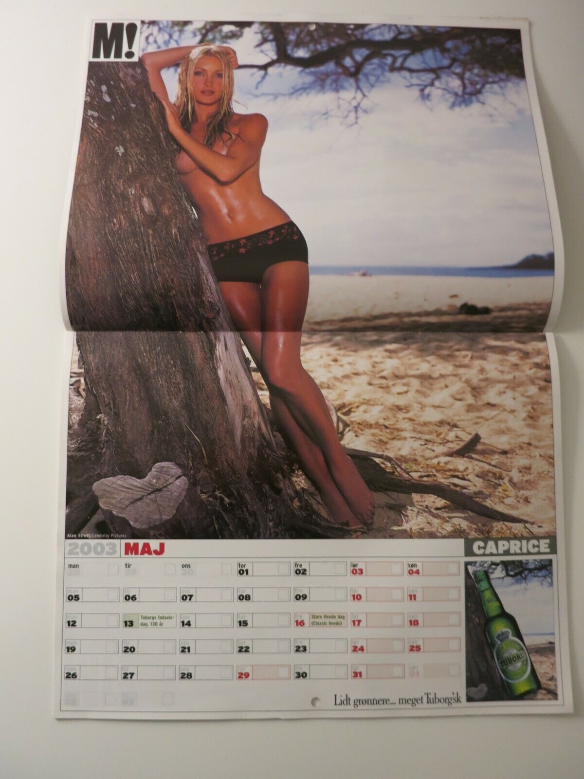 Calendar 03 VICTORIA SILVSTEDT Kelly Brook CAPRICE Sofia Vergara ALI LANDRY AB12