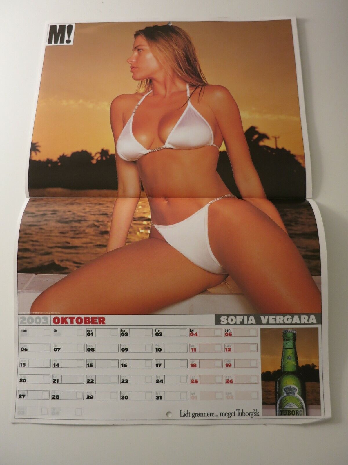 Calendar 03 VICTORIA SILVSTEDT Kelly Brook CAPRICE Sofia Vergara ALI LANDRY AB12