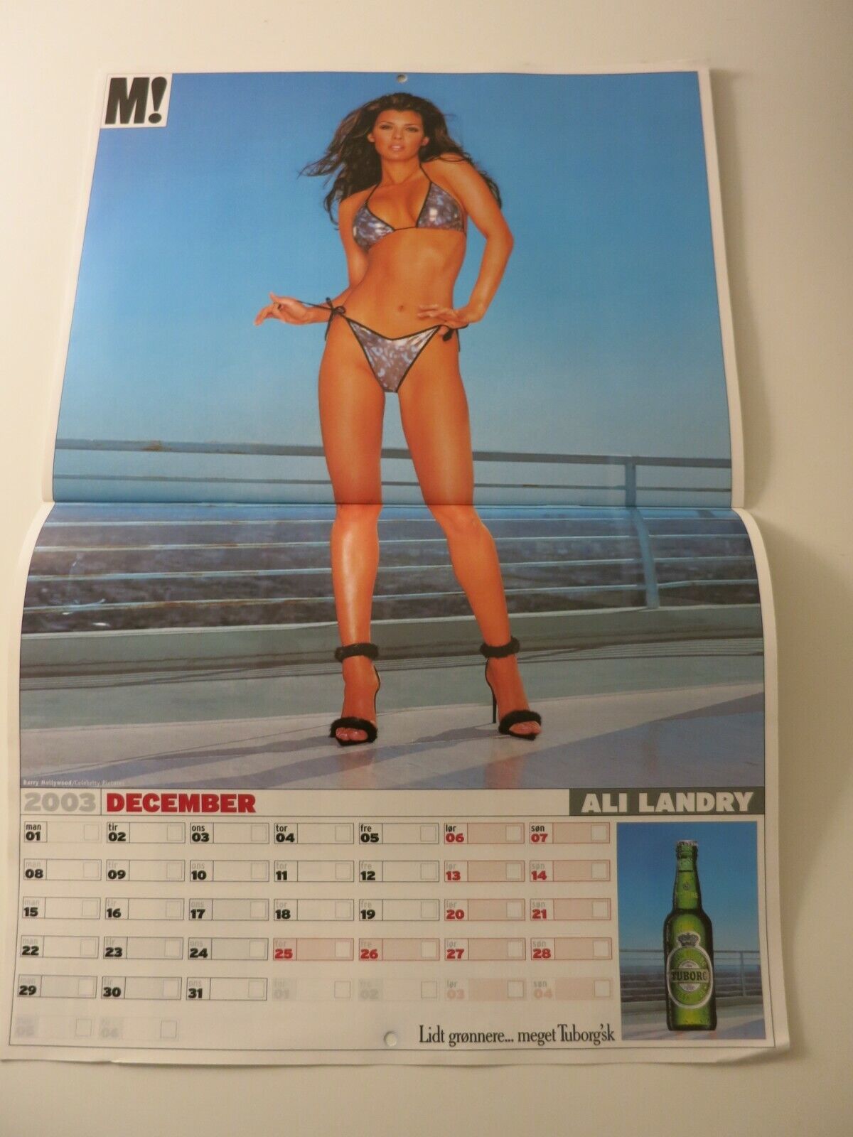 Calendar 03 VICTORIA SILVSTEDT Kelly Brook CAPRICE Sofia Vergara ALI LANDRY AB12