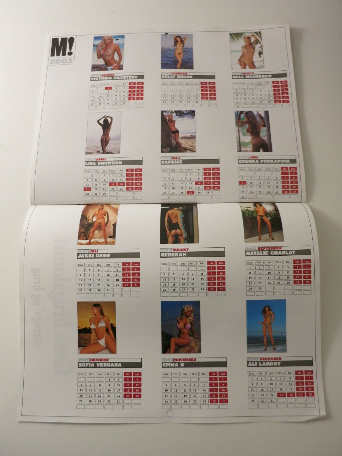 Calendar 03 VICTORIA SILVSTEDT Kelly Brook CAPRICE Sofia Vergara ALI LANDRY AB12