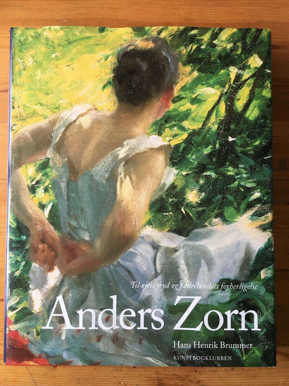 Anders Zorn: Til øjets Fryd og fædrelandets forherligelse (Danish)