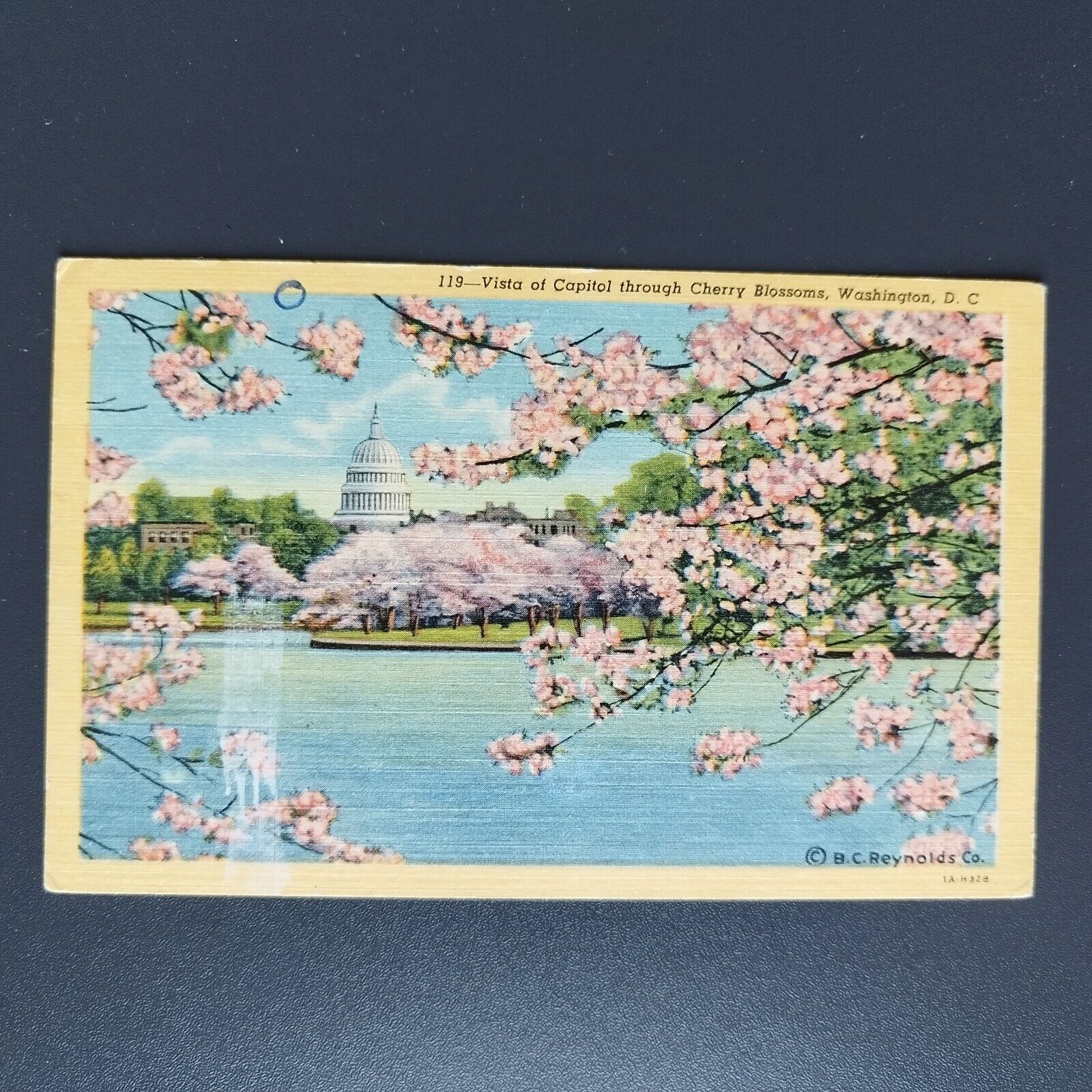 Washington DC  Vista of Capitol through Cherry Blossoms ca 1920