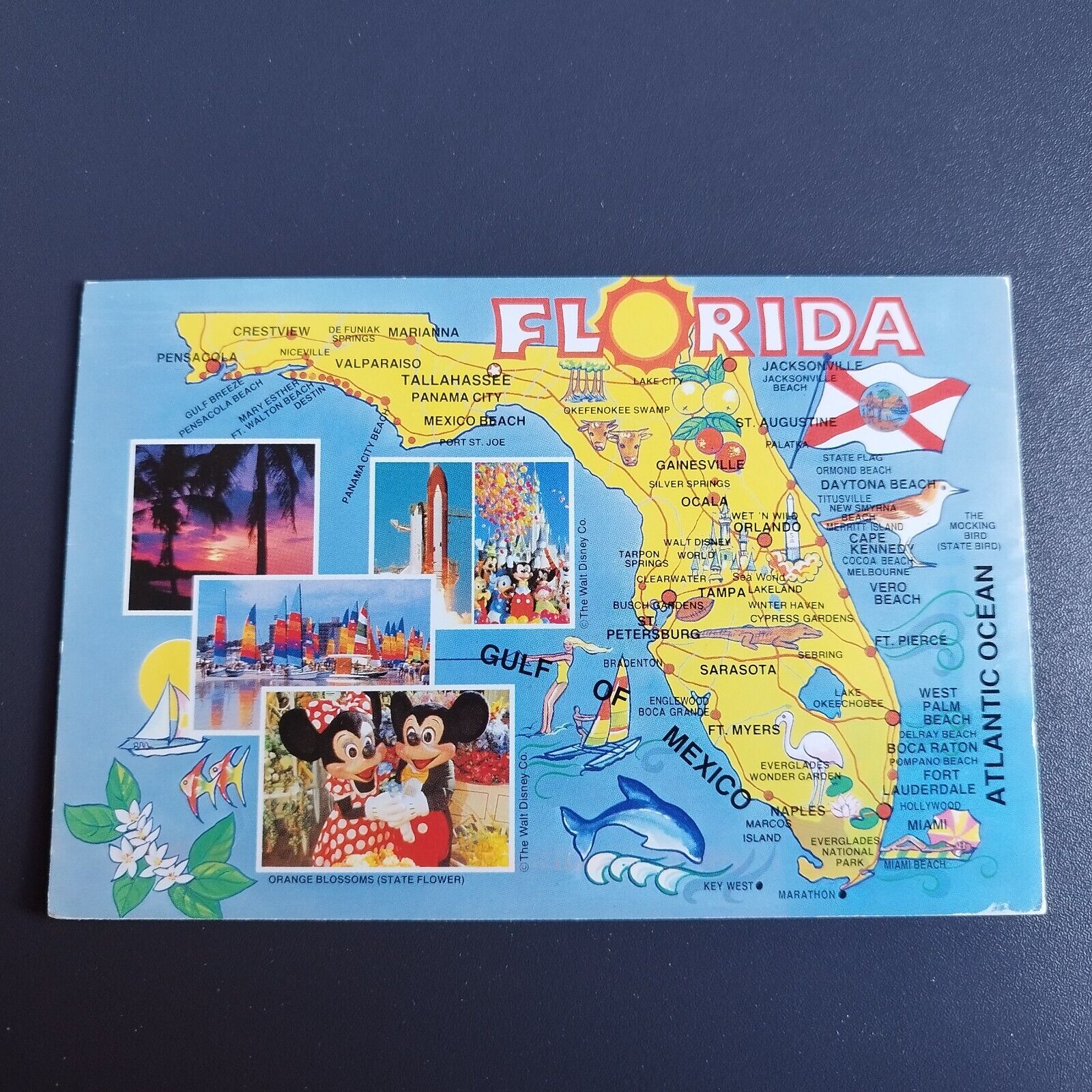 Florida Postcard showing map of Florida Posted to Germany in 1988