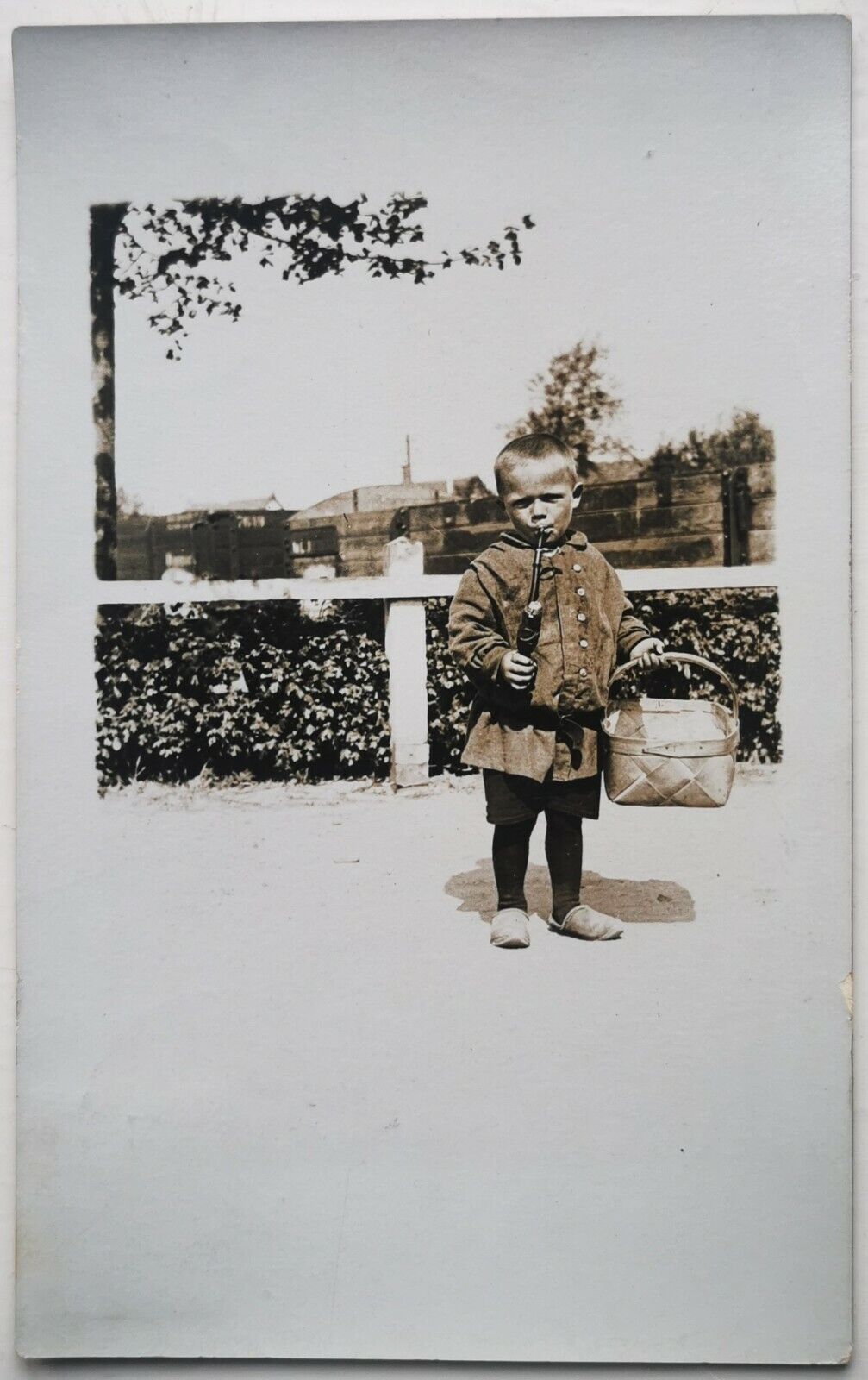 Old photo postcard: Little "naughty" boy smokes on grandpa's pipe 1906  pok1102