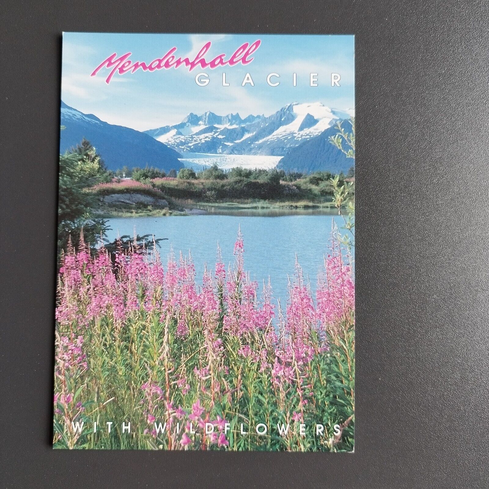 Postcard Alaska  Juneau Mendenhall Glacier with wild flowers