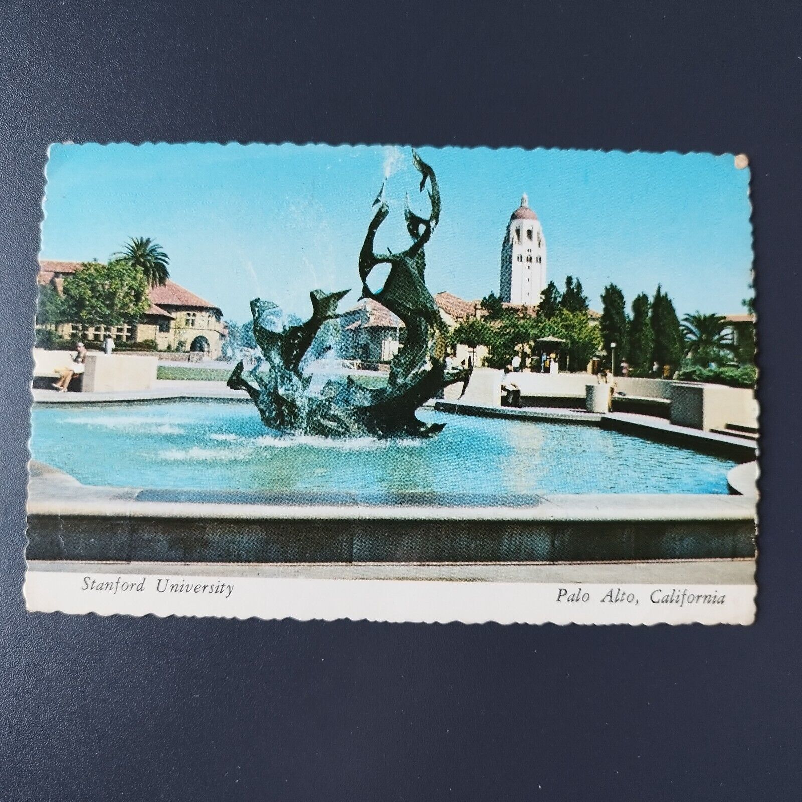 California Stanford UniversityPalo Alto White Memorial Plaza Posted in 1976