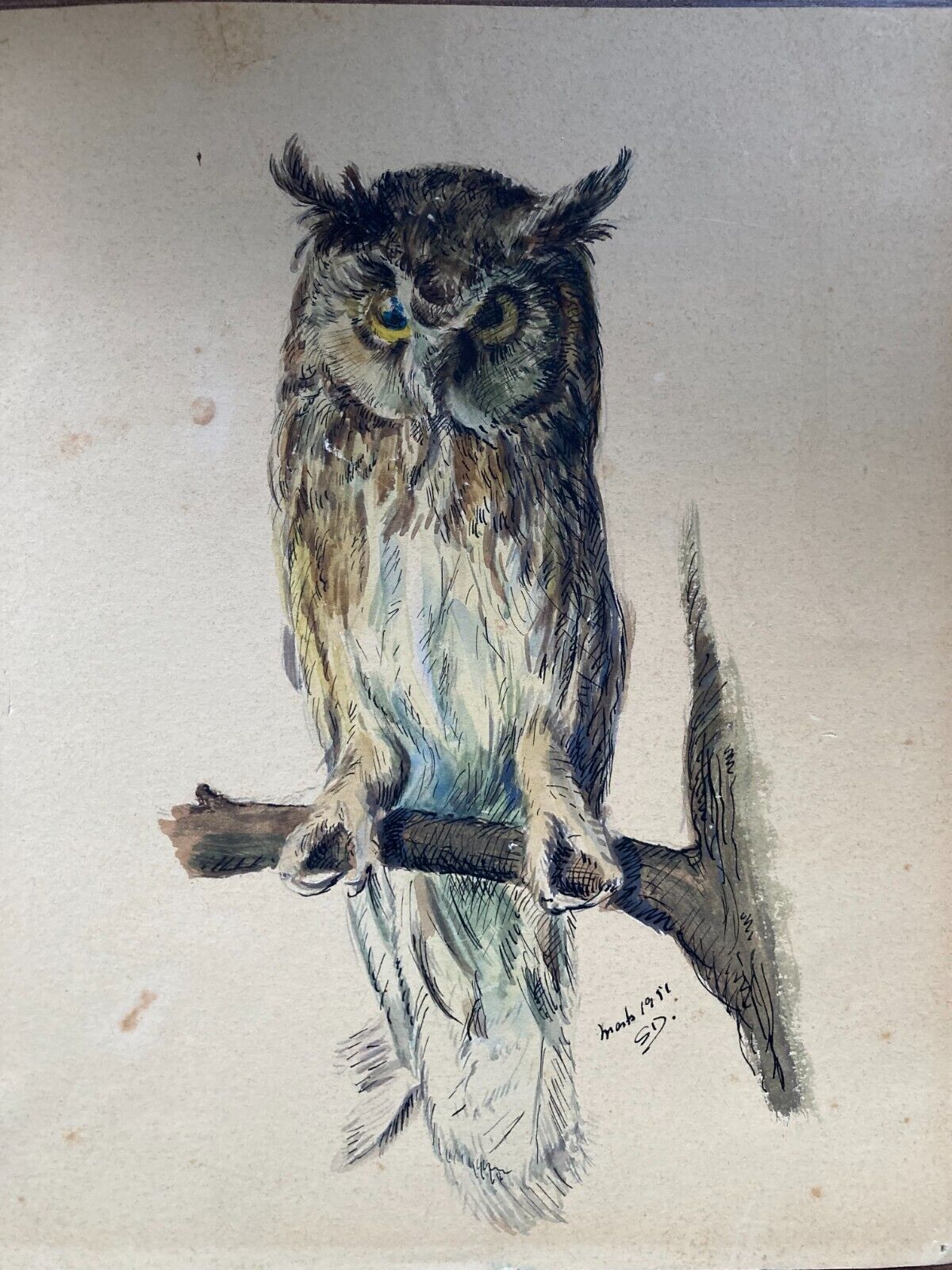 Owl Watercolor Drawing - Hand-Signed Nature Art Artwork 17*20cm