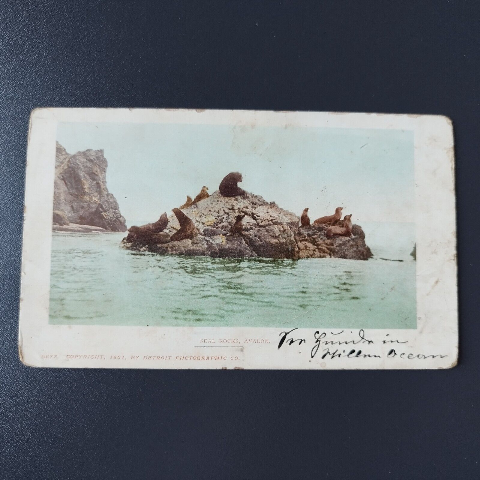 California AvalonSeal RocksSanta Catalina Island Early 1900s