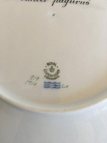 Royal Copenhagen Green Fish Plate No 919/1710 with Cancer Pagurus