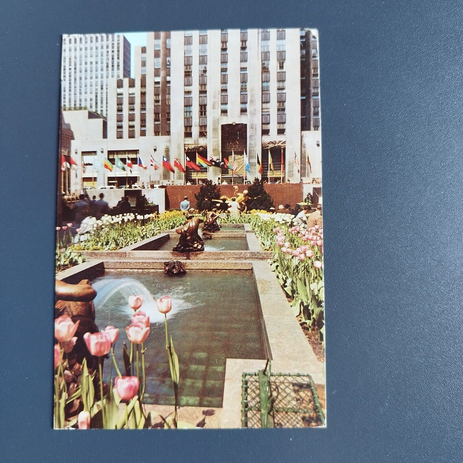 New York City Rockefeller Center The Channel Gardens 1956