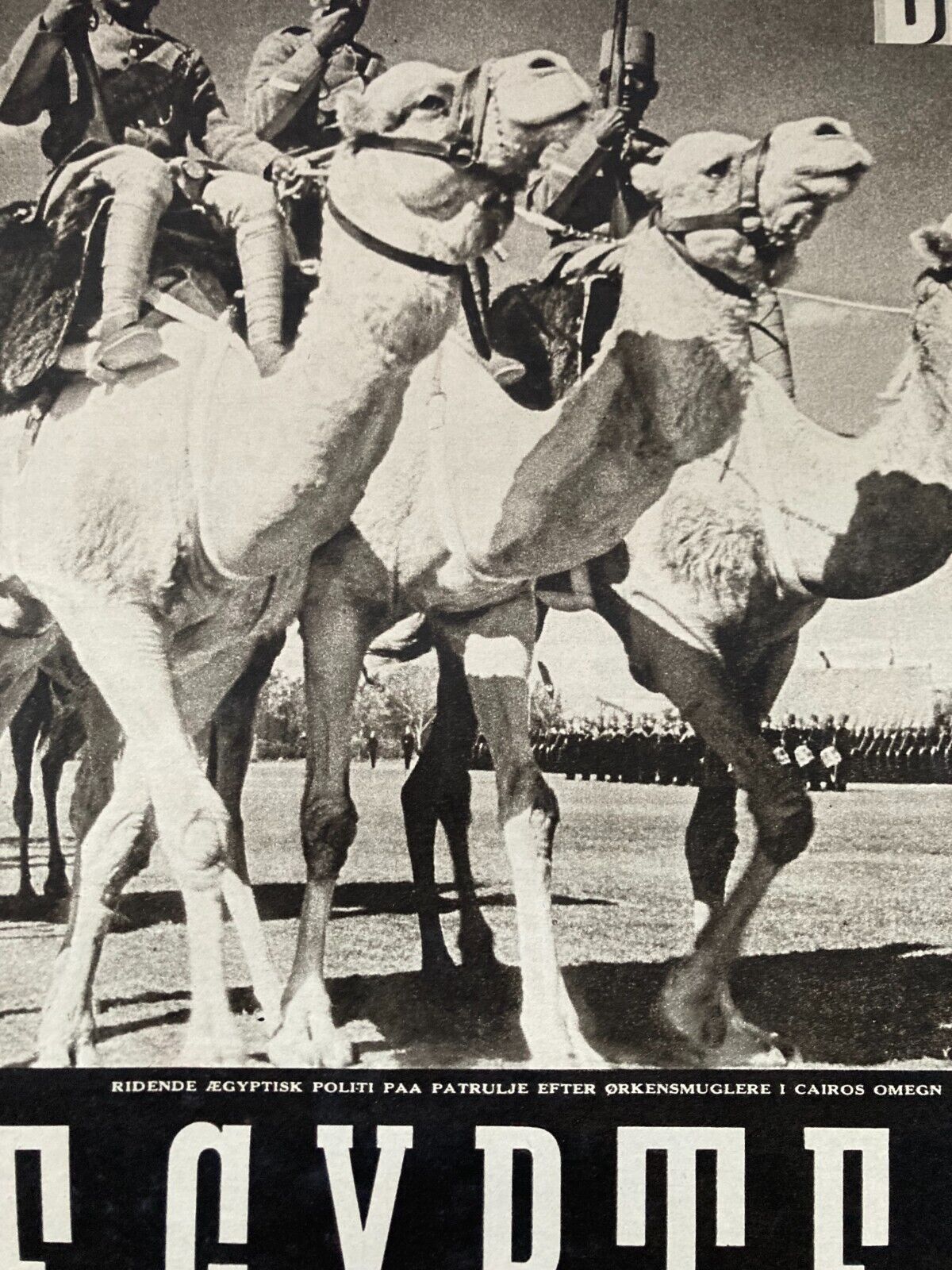 Egypt Riding Police on Camels Smugglers Danish Magazine 1940 "Berlingske IT"