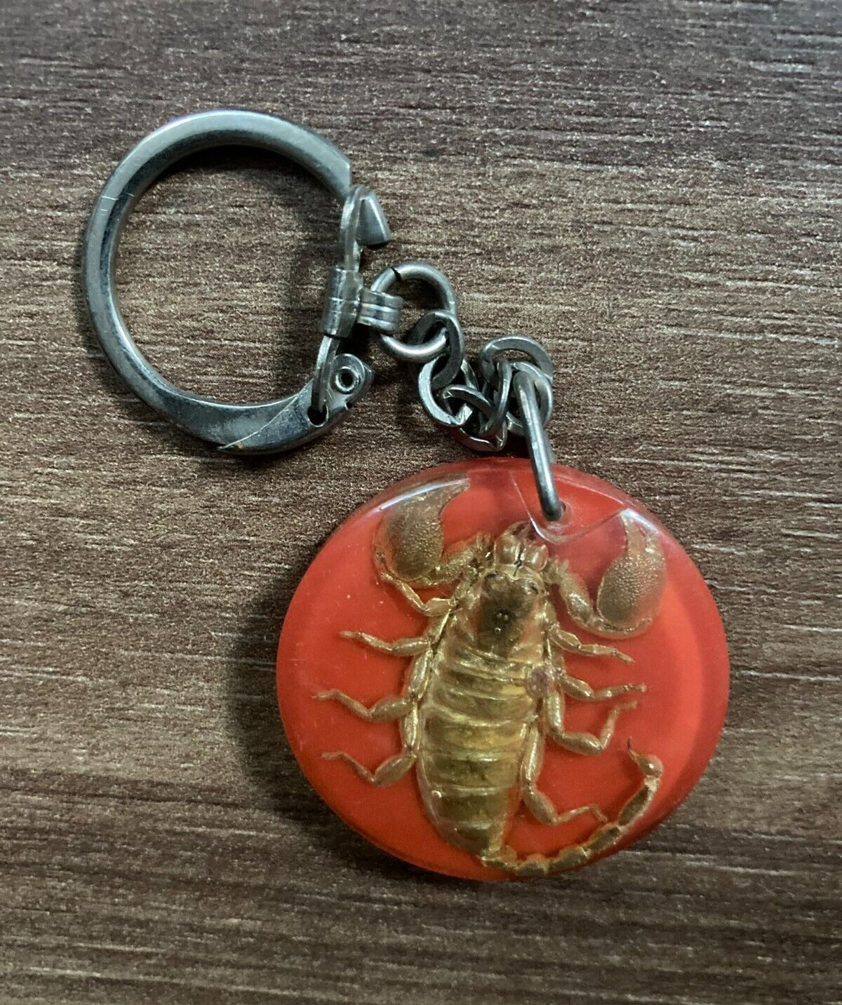 Vintage Scorpion Encased Keychain Ring - Unique Red Circular Design