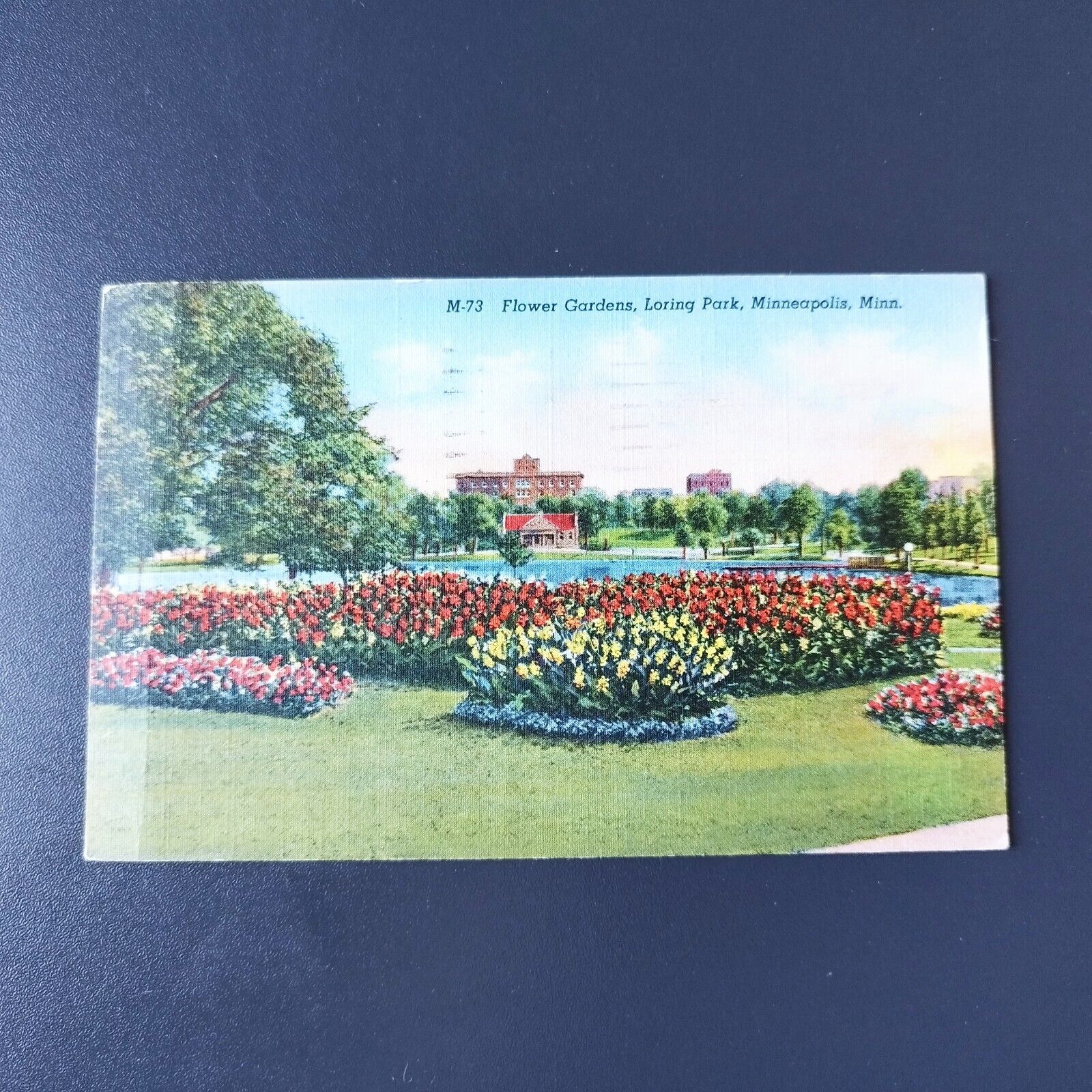 Minnesota Flower GardenLoring ParkMinneapolis Posted in 1948