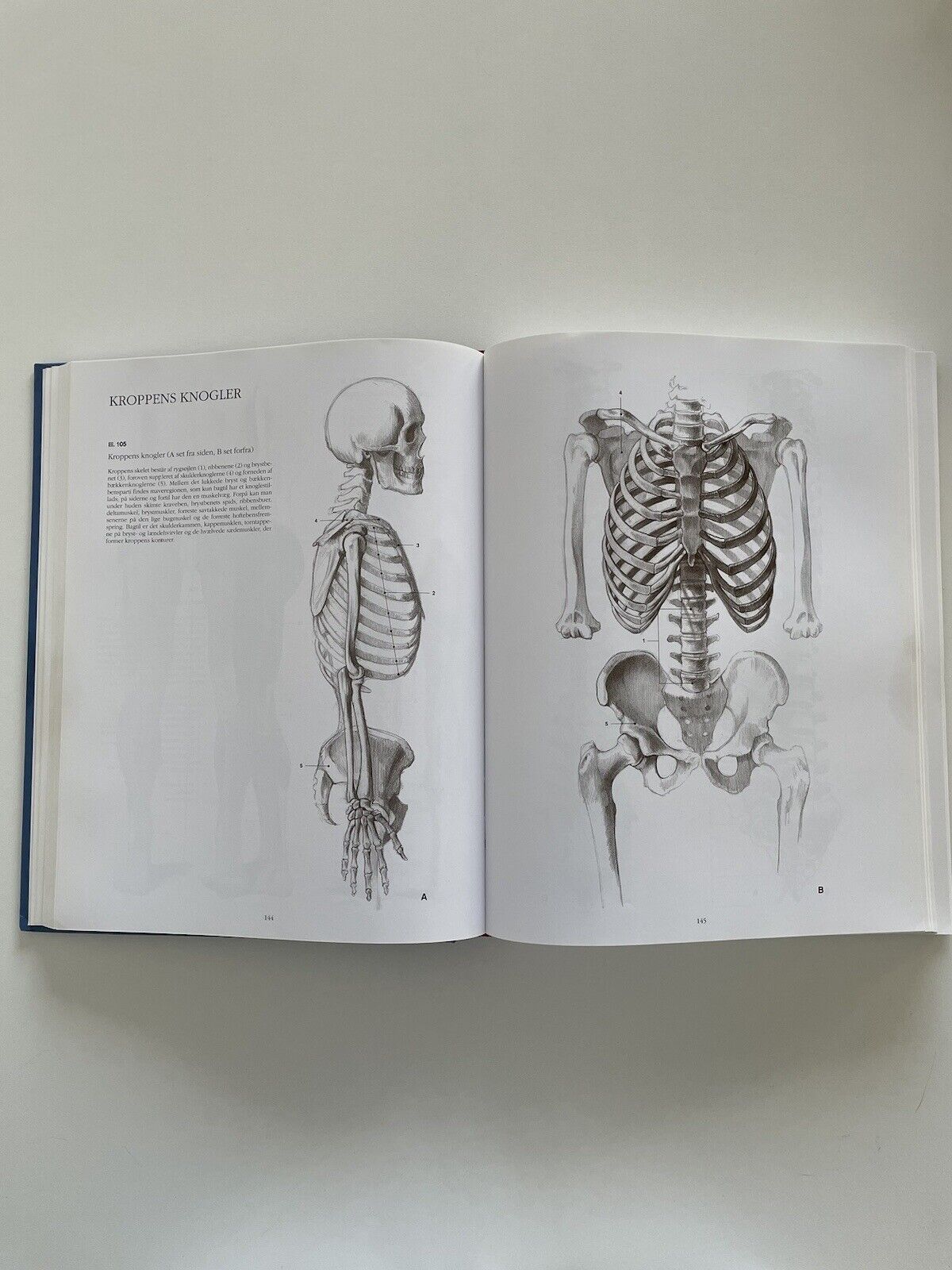 Anatomisk Tegnelære By Andras Szunyoghy And Gyorgy Feher Published By Könemann