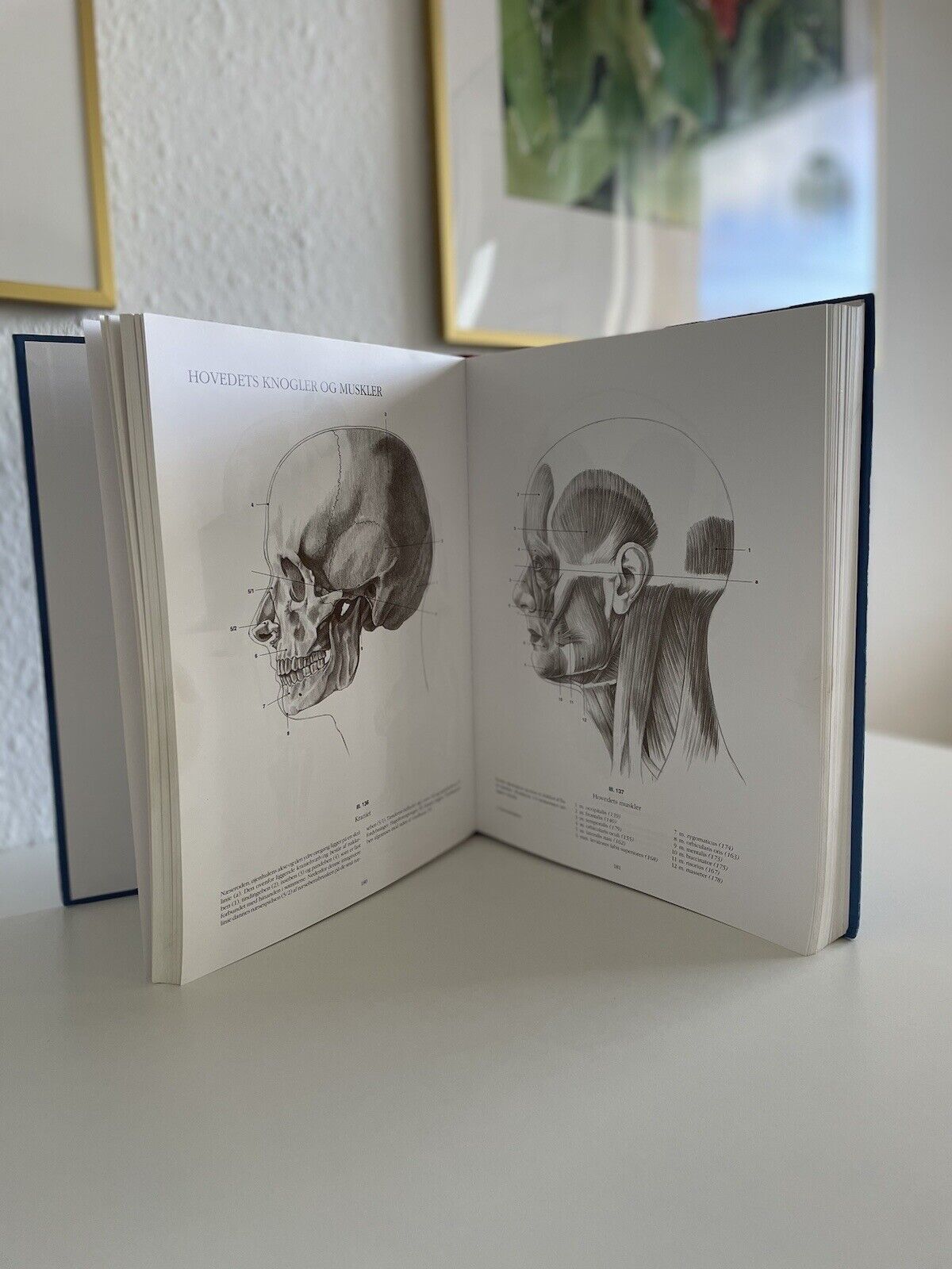 Anatomisk Tegnelære By Andras Szunyoghy And Gyorgy Feher Published By Könemann