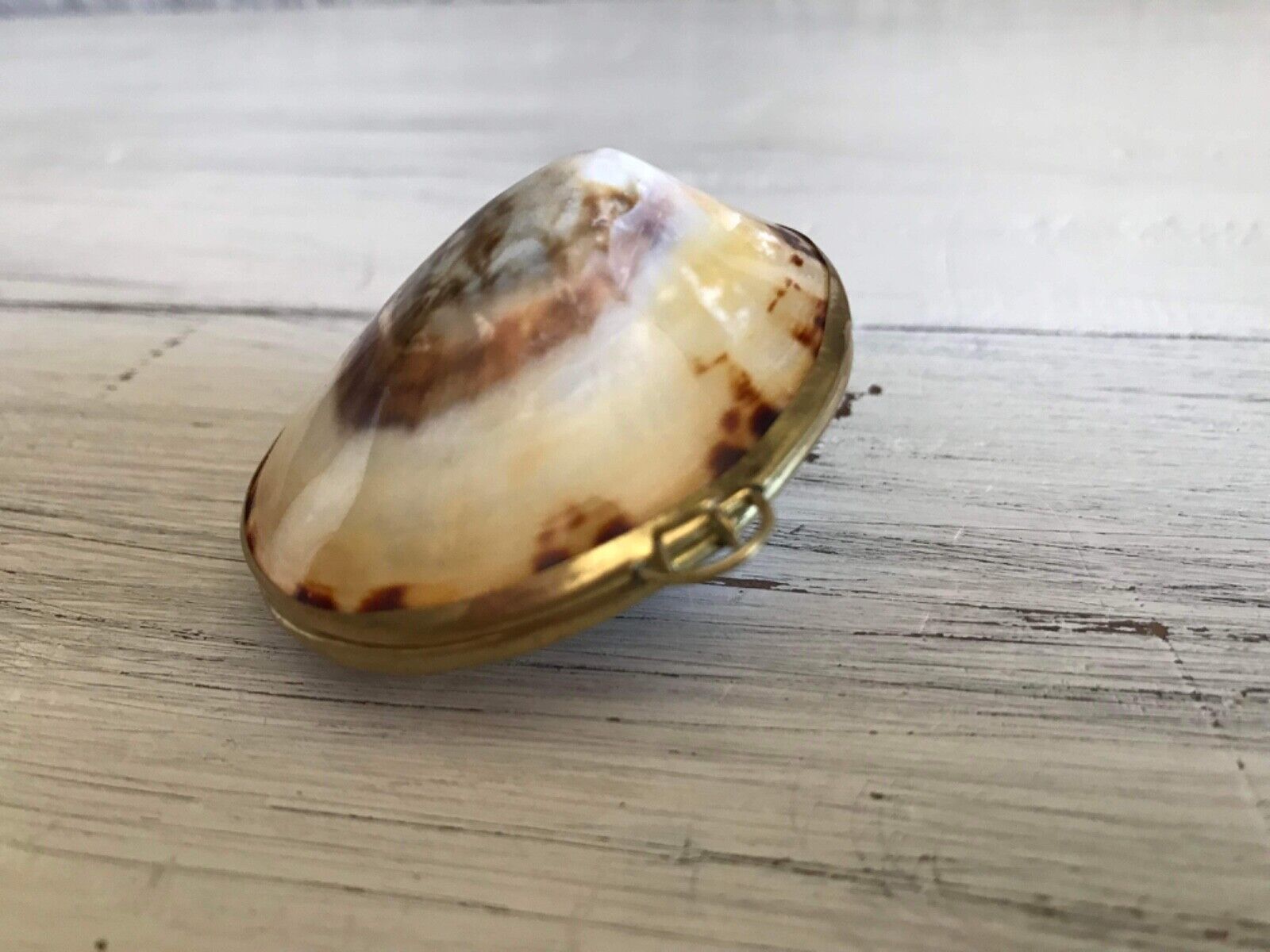 Vintage Shell Trinket Box