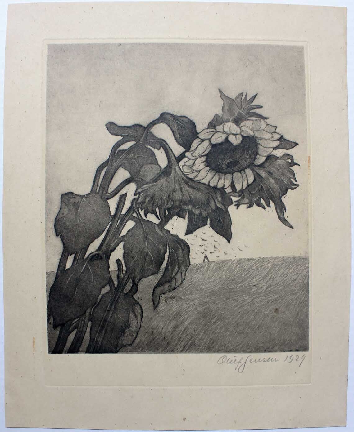 Oluf Jensen etching Sunflower in a field 1929 Pupil of P S Kroyer