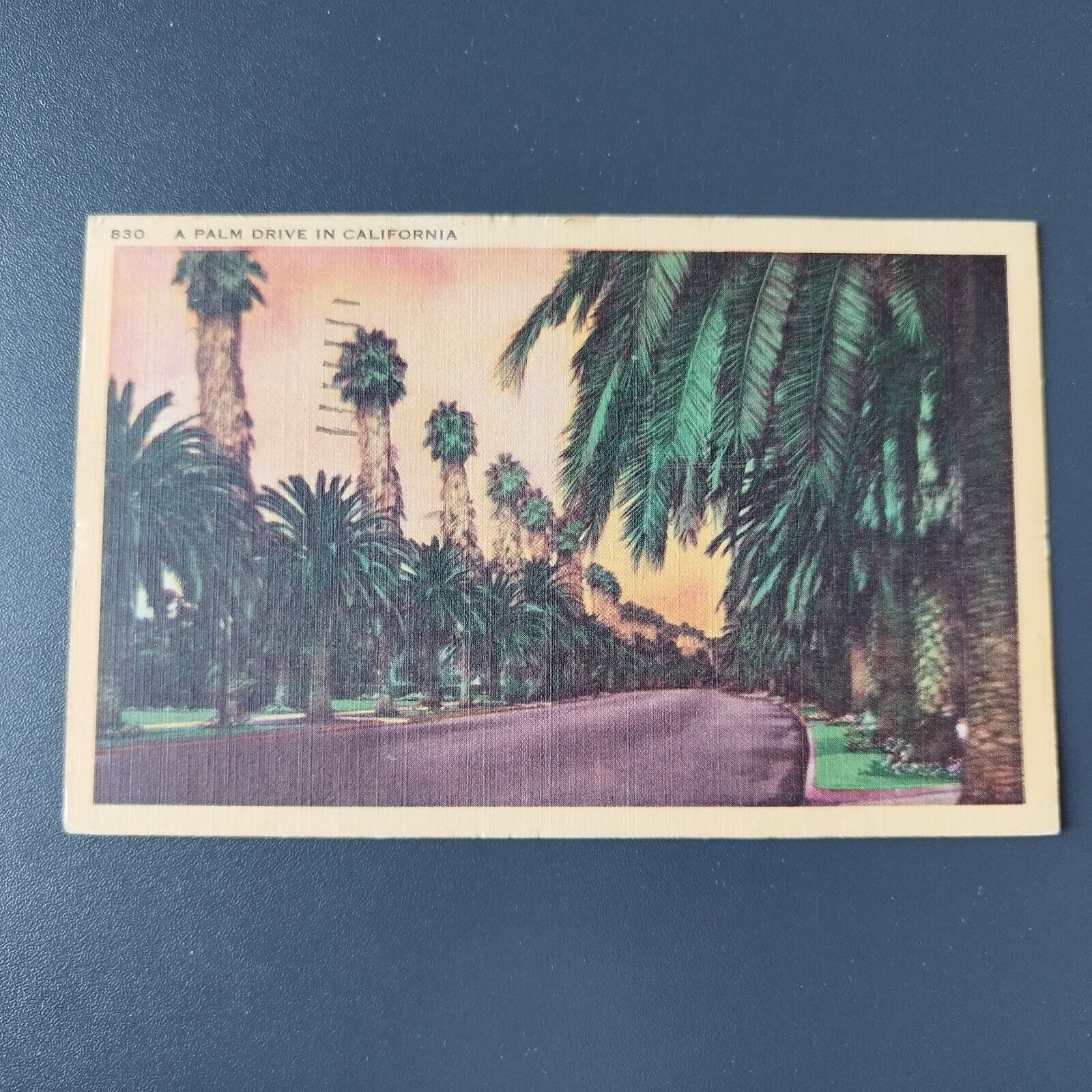 California A Palm Drive Posted in 1950