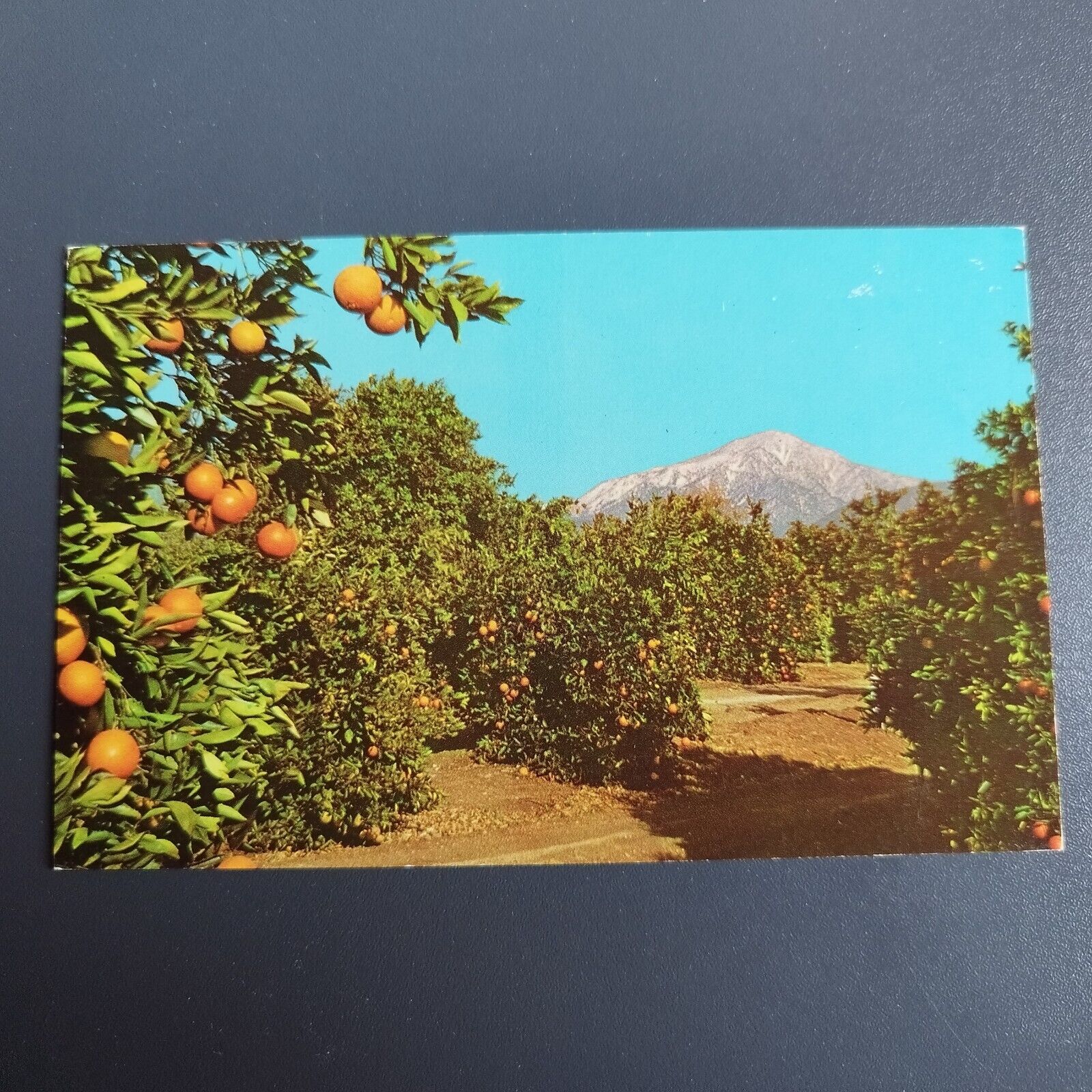 California Oranges And Snow-Capped Mountains - Unposted