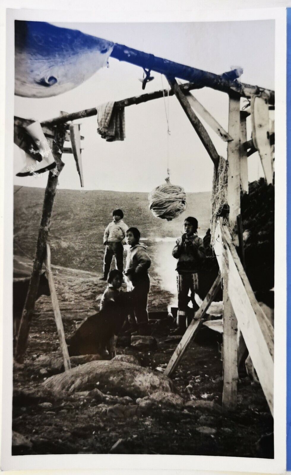 Photo postcard from Greenland by Jette Bang: Children at the settlement pok1409