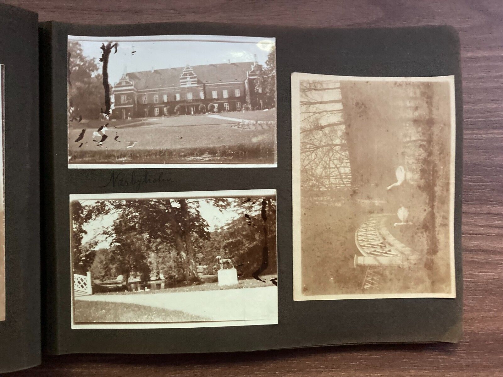 Daily Family Life in Denmark Early 1900s Unique Vintage Photo Album +75 pcs