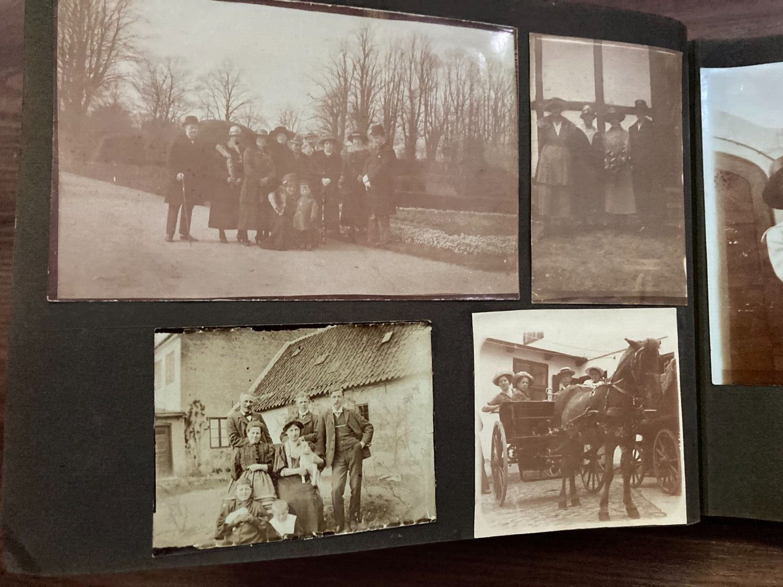 Daily Family Life in Denmark Early 1900s Unique Vintage Photo Album +75 pcs