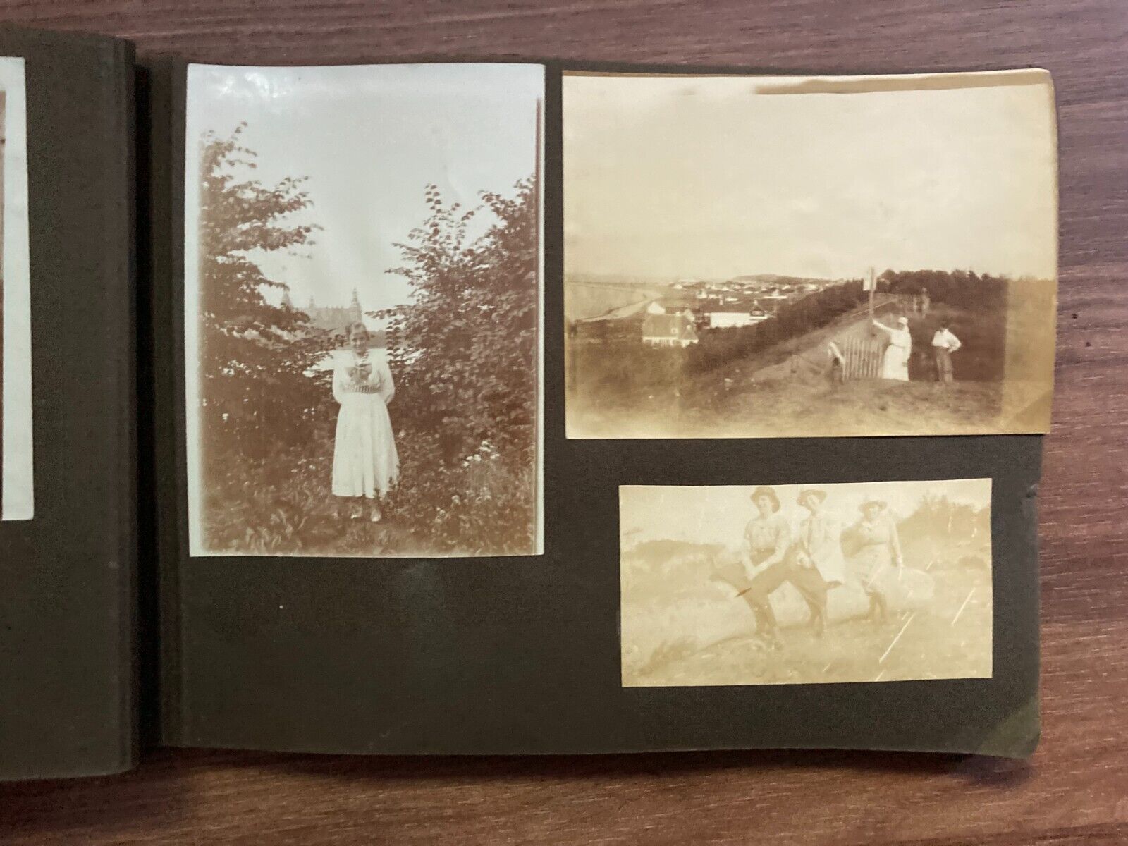 Daily Family Life in Denmark Early 1900s Unique Vintage Photo Album +75 pcs