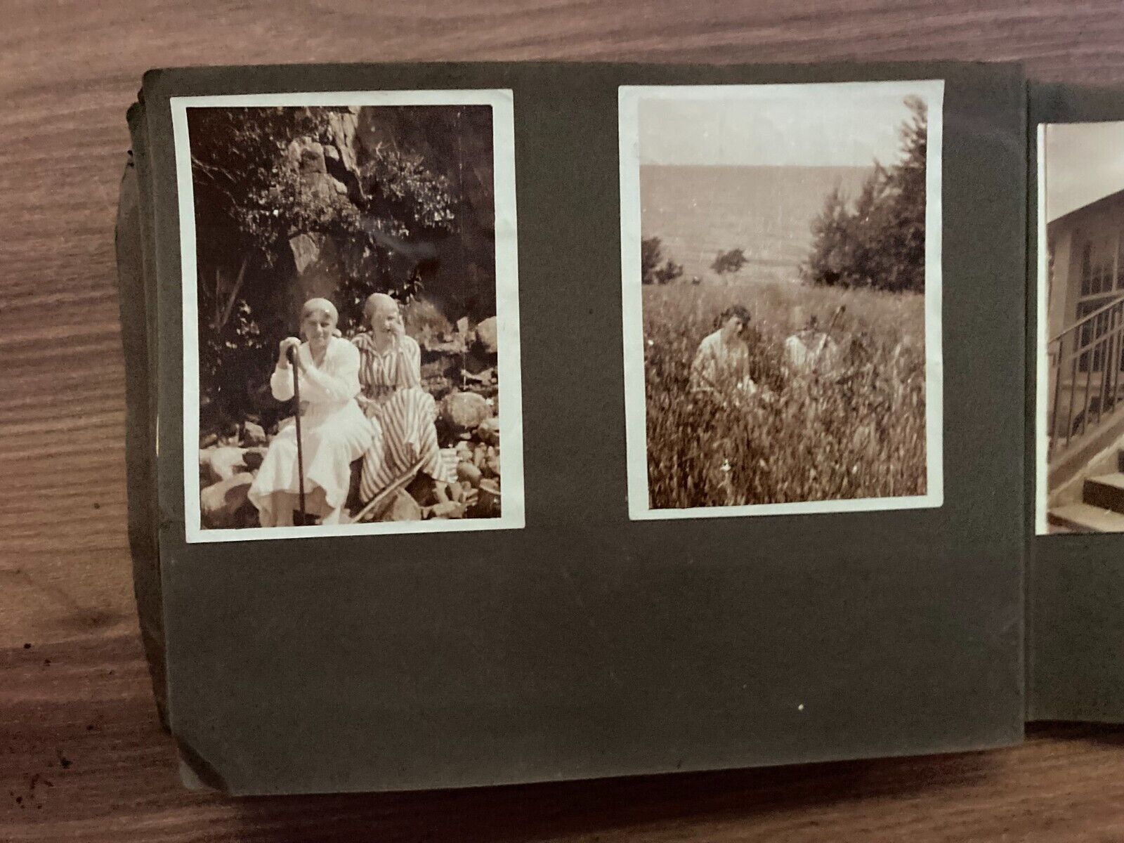 Daily Family Life in Denmark Early 1900s Unique Vintage Photo Album +75 pcs