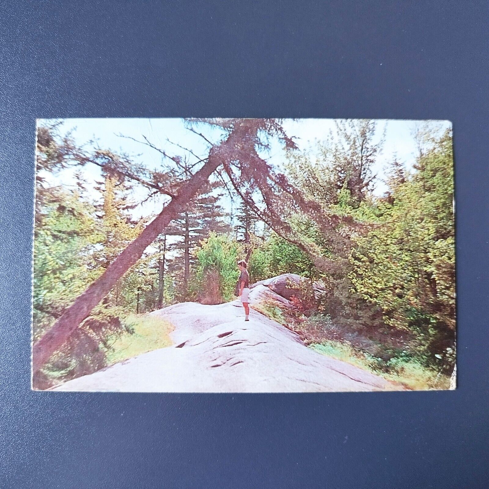 NY Bald Mountain Old Forge Camel Back TrailPosted in 1967