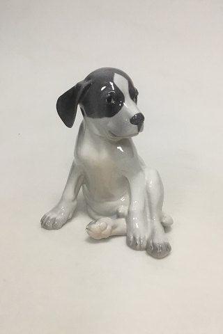 Royal Copenhagen Figurine of Pointer Puppy no 051 (259)
