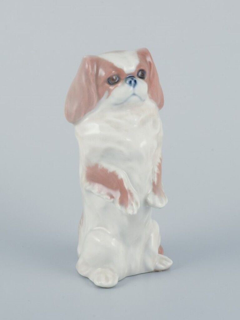 Royal Copenhagen Porcelain figurine of standing Pekingese dog