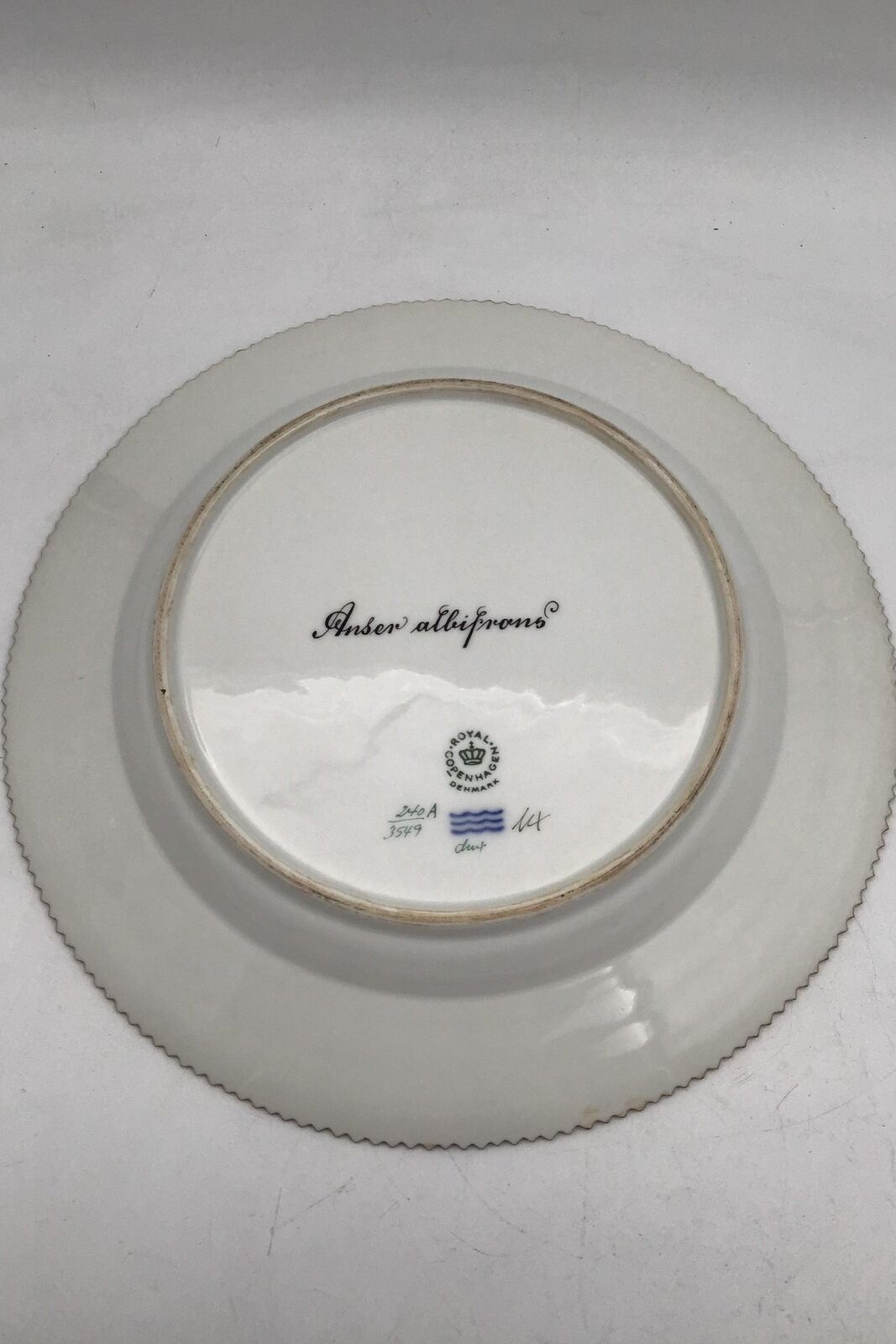 Royal Copenhagen Flora Danica Bird dinner plate No 240/3549