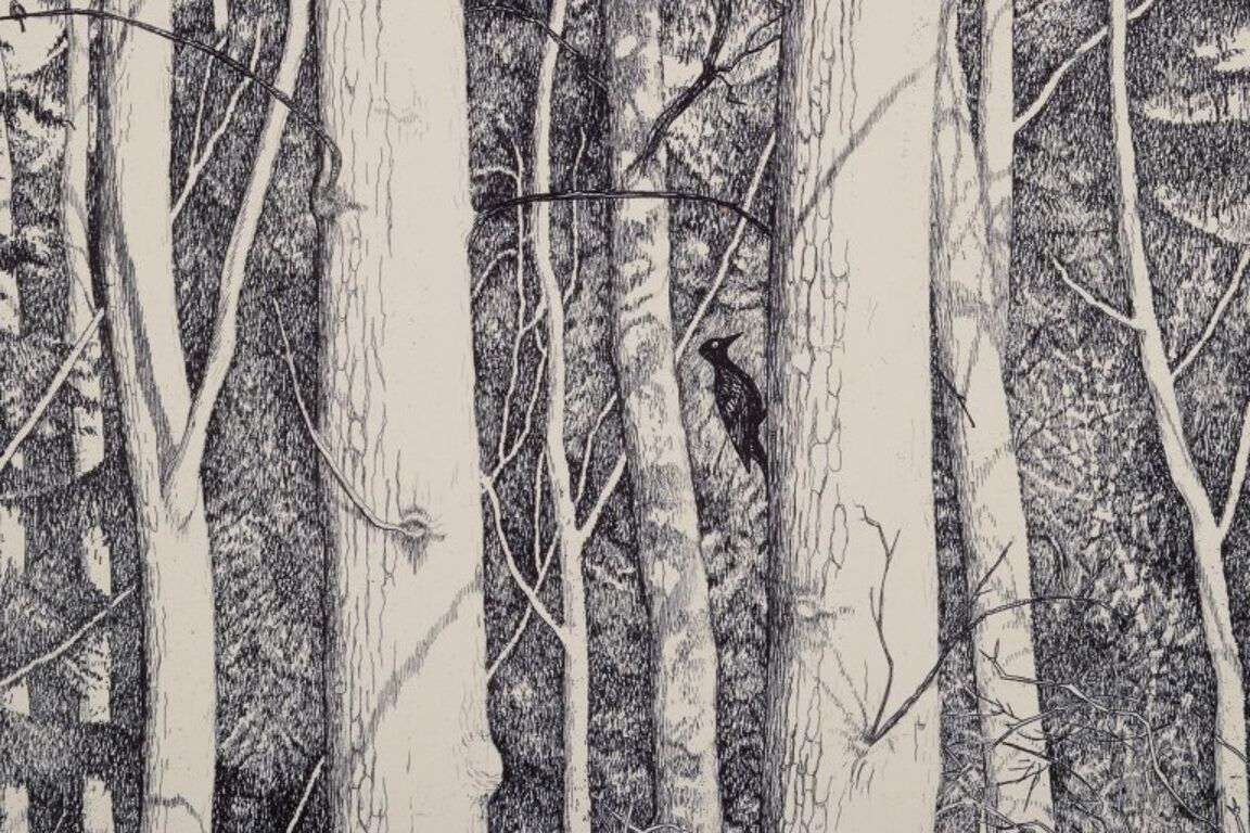 Eva Holmén-Edling (1942) Swedish artist Woodcut on Japan paper Forest scene